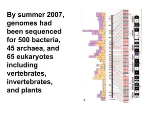 By summer 2007, genomes had been sequenced for 500 bacteria, 45 archaea, and 65 eukaryotes including vertebrates, invertebrates, and plants 