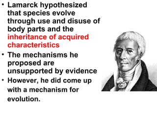 Lamarck hypothesized that species evolve through use and disuse of body parts and the  inheritance of acquired characteristics The mechanisms he proposed are unsupported by evidence However, he did come up with a mechanism for evolution. 