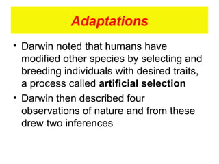Adaptations Darwin noted that humans have modified other species by selecting and breeding individuals with desired traits, a process called  artificial selection Darwin then described four observations of nature and from these drew two inferences 