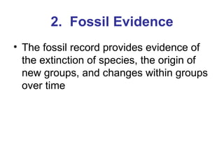 2.  Fossil Evidence The fossil record provides evidence of the extinction of species, the origin of new groups, and changes within groups over time 