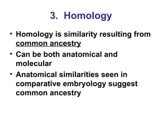 3.  Homology Homology is similarity resulting from  common ancestry Can be both anatomical and molecular Anatomical similarities seen in comparative embryology suggest common ancestry 