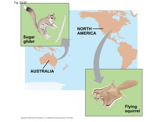 Fig. 22-20 Sugar glider Flying squirrel AUSTRALIA NORTH AMERICA 