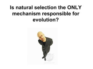 Is natural selection the ONLY mechanism responsible for evolution? 