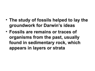 The study of fossils helped to lay the groundwork for Darwin’s ideas Fossils are remains or traces of organisms from the past, usually found in sedimentary rock, which appears in layers or strata 