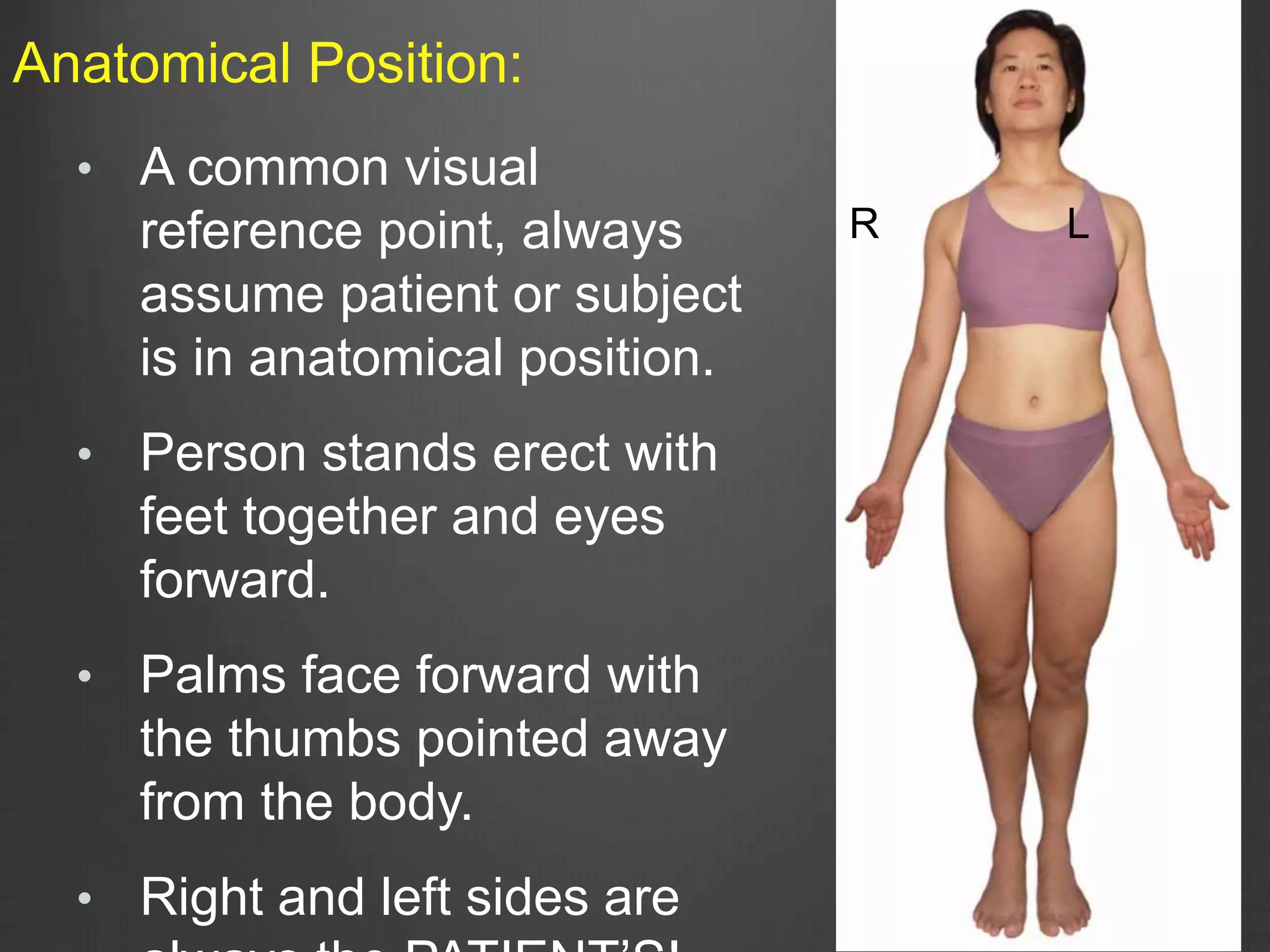 • A common visual
reference point, always
assume patient or subject
is in anatomical position.
• Person stands erect with
feet together and eyes
forward.
• Palms face forward with
the thumbs pointed away
from the body.
• Right and left sides are
Anatomical Position:
R L
 