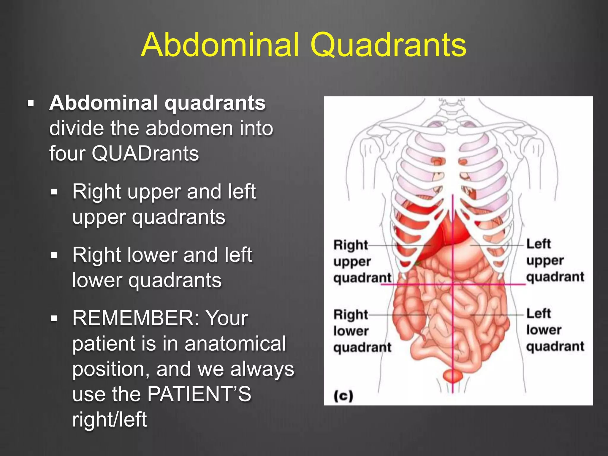 Abdominal Quadrants
 Abdominal quadrants
divide the abdomen into
four QUADrants
 Right upper and left
upper quadrants
 Right lower and left
lower quadrants
 REMEMBER: Your
patient is in anatomical
position, and we always
use the PATIENT’S
right/left
 
