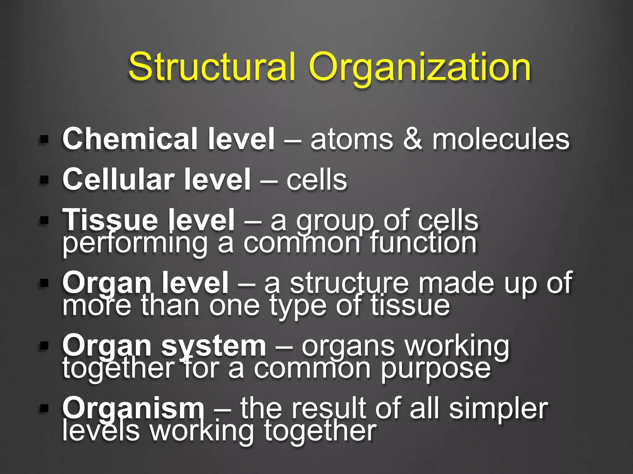 Structural Organization
 Chemical level – atoms & molecules
 Cellular level – cells
 Tissue level – a group of cells
performing a common function
 Organ level – a structure made up of
more than one type of tissue
 Organ system – organs working
together for a common purpose
 Organism – the result of all simpler
levels working together
 