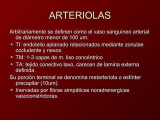 SISTEMA CIRCULATORIO/HISTOLOGÍA | PPT