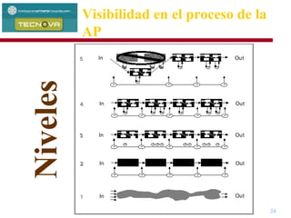 Administración de Proyectos 24
Visibilidad en el proceso de la
AP
Niveles
 