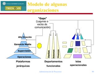 Administración de Proyectos 80
Modelo de algunas
organizaciones
Alta Dirección
Gerencia Media
Supervisión
Operaciones
Plataformas
jerárquicas
“Gaps”
(Lagunas o
vacíos de
comunicación)
Departamentos
funcionales
Ventas
Sistemas
Finanzas
Islas
operacionales
 