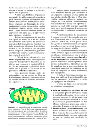 Fundamentos de Bioquímica - Capítulo 9: Fundamentos de Bioenergética                                    105
 xilação oxidativa do piruvato a acetil-CoA,                          As mitocôndrias possuem uma estrutu-
 após o final da glicólise.                                   ra de membrana peculiar que a assemelha a
         A acetil-CoA também é originária da                  um organismo particular vivendo dentro de
 degradação de ácidos graxos (β-oxidação) a                   uma célula estranha. De fato, o DNA mito-
 partir da mobilização dos triglicerídeos arma-               condrial apresenta diferenças notáveis em
 zenados nos adipócitos e também dos amino-                   relação ao DNA nuclear, assemelhando-se
 ácidos originários da degradação das proteí-                 mais com bactérias do que com o próprio or-
 nas (alanina, treonina, glicina, serina, cisteína,           ganismo na qual estão inseridas, sugerindo
 fenilalanina, tirosina, leucina, lisina e tripto-            que a sua origem é resultante de um processo
 fano). Corpos cetônicos também podem ser                     de endosimbiose ocorrido nos primórdios da
 degradados em acetil-CoA e aproveitados                      evolução.
 pelos músculos e neurônios.                                          A membrana externa das mitocôndrias
         Todos esses compostos são sintetiza-                 é bastante permeável às moléculas que ser-
 dos a partir da acetil-CoA e por isso podem                  vem de substratos para as reações energéticas
 ser convertidos nela quando há necessidade                   (piruvato, acetil-CoA, ácidos graxos ativa-
 energética. Entretanto, isto não é verdade para              dos), porém a membrana interna corresponde
 todas as moléculas originárias da acetil-CoA,                a uma barreira para a entrada dessas molécu-
 como é o caso do colesterol que não possui                   las para o interior da mitocoôndria.
 função energética, correspondendo, portanto a                        É na membrana interna que estão loca-
 um “beco sem saída” do metabolismo energé-                   lizadas proteínas especializadas em introduzir
 tico a partir da acetil-CoA.                                 os substratos citoplasmáticos para o interior,
         O Ciclo de Krebs está associado a uma                denominadas, genericamente, como lançadei-
 cadeia respiratória, ou seja, um complexo de                 ras de substratos que proporcionam a sele-
 compostos transportadores de prótons (H+) e                  ção das moléculas a serem degradadas pelas
 elétrons que consumem o oxigênio (O2) ab-                    enzimas mitrocondriais. Dependendo do tipo
 sorvido por mecanismos respiratórios, sinteti-               de lançadeira, tem-se processos distintos de
 zando água e gerando ATPs através de um                      captação de moléculas do citoplasma, ou de
 processo de fosforilação oxidativa.                          saída de compostos da matriz mitocondrial
         Esses processos ocorrem dentro das                   para o citoplasma.
 mitocôndrias, com as enzimas do Ciclo de                             O Ciclo de Krebs inicia-se com a uni-
 Krebs dispersas na matriz e os transportadores               ão de uma molécula de acetil-CoA (2C) com
 de elétrons estão fixos na cristas mitocondri-               uma de oxalacetato (4C) gerando o citrato
 ais (Figura 9-8).                                            (6C) que possui três carboxilas.
                                                                      O Ciclo de Krebs pode ser dividido
                                                              em oito etapas conseqcutivas:

                                                              1. INÍCIO: condensação da acetil-CoA com
                                                                 o oxalacetato, gerando citrato: esta reação
                                                                 é catalisada pela enzima citrato-sintase e
                                                                 gera um composto de seis carbonos, uma
                                                                 vez que o oxalacetato possui 4C e a acetil-
                                                                 CoA, possui 2C que correspondem aos dois
                                                                 últimos carbonos da glicose que ainda es-
                                                                 tão unidos depois da oxidação do piruvato.
Figura 9-8 – A mitocôndria, sede do metabolismo energéti-
co. As enzimas do Ciclo de Krebs estão presentes na matriz    2. Isomerização do citrato em isocitrato: esta
mitocondrial, enquanto que os transportadores de elétrons        reação é catalisada pela enzima aconitase.
encontram-se nas cristas mitocondriais (invaginações da          Há a formação de cis-aconitato como um
membrana interna). O fluxo de prótons ocorre da matriz para      intermediário ligado à enzima, porém pode
o espaço intermembrana e daí de volta para a matriz, geran-
                                                                 ser que ele constitua uma ramificação do
do um potencial protônico necessário para a síntese de ATP.
                                                                 ciclo.


                                                                                               Ricardo Vieira
 