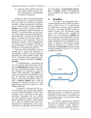 Fundamentos de Bioquímica – Capítulo 10 - Metabolismo                                                       116

    5) síntese de corpos cetônicos (que pos-            dois pancreáticos, a somatostatina pancreá-
       suem função energética para os teci-             tica e a amilina, também são identificados
       dos extra-hepáticos, principalmente              como possuidores de função reguladora da
       os neurônios e músculos).                        glicemia.

     O fígado é a única célula que pode liberar         1.       Insulina
glicose da célula para o sangue, fato indispen-
                                                                A insulina é um polipeptídeo (PM =
sável para suprir as necessidades energéticas
                                                        5.700d) formado por duas cadeias de aminoá-
de todas as células do organismo. Essa libera-
                                                        cidos (a cadeia A com 21 e a cadeia B com
ção só é possível graças à enzima glicose-6-
                                                        31), unidas entre si por duas pontes dissulfeto
fosfatase, que reverte a primeira reação da
                                                        de cistina e uma ponte dissulfeto interna na
glicólise (a formação de glicose-6-fosfato, ver
                                                        cadeia A (Figura 10-2). Promovendo a união
capítulo 9). As demais células, por não possu-
                                                        entre as duas cadeias, existe o peptídeo de
írem esta enzima, consomem integralmente a
                                                        ligação com 36 aminoácidos (peptídeo C)
glicose baixando a glicemia, já que absorvem
                                                        que é responsável pelo alinhamento da molé-
glicose do sangue mas não são capazes de
                                                        cula favorecendo a formação das pontes dis-
libera-la para o meio extracelular. Além dos
                                                        sulfeto fundamentais pela estabilidade da mo-
hepatócitos, algumas células justaglomerula-
                                                        lécula. As cadeias A e B da insulina, quando
res (renais) possuem pequena atividade de
                                                        ligadas ao peptídeo C, no conjunto, são de-
glicose-6-fosfatase, mas não exercem papel
                                                        nominados de pró-insulina que possui baixa
significativo na manutenção da glicemia.
                                                        atividade metabólica (cerca de 5 a 10% da
     Apesar da grande quantidade de glicose
                                                        atividade da insulina).
liberada para o sangue pelo hepatócito, as
concentrações normais de glicose plasmática
(glicemia) não sofrem grande variação além
de 70 - 110 mg/dl, devido à regulação hormo-
nal pelos hormônios pancreáticos insulina e
glucagon.
        É importantíssima a manutenção dos
níveis de glicemia dentro dessa faixa estreita,
pois uma hiperglicemia contínua torna o san-
gue muito concentrado alterando os mecanis-
mos osmóticos de reabsorção de água nos
túbulos renais, induzindo a uma diurese ex-
cessiva que pode levar à desidratação e uma
série de alterações patológicas específicas
típicas de uma doença metabólica muito co-
mum, a diabetes mellitus onde a falha no
mecanismo de absorção celular leva a uma
hiperglicemia crônica (ver capítulo 15 sobre
Diabetes Mellitus).
        A insulina e o glucagon não são os ú-
nicos hormônios que possuem ação regulató-              Figura 10-2 - A estrutura secundária da pró-insulina. Na
ria sobre a glicemia plasmática. Vários outros          forma de pró-hormônio, é composto por três cadeias
hormônios (p.ex.: hormônios sexuais, glico-             polipeptídicas distintas (A, B e C) onde o peptídeo C é o
corticóides, tireoidianos, GH etc.) também              conector entre as demais cadeias e é separado da molé-
                                                        cula por hidrólise durante a secreção pancreática. (Adap-
têm ação metabólica, porém possuem uma                  tado de DEVLIN, 2000)
função energética secundária, sendo produzi-
dos a partir de estímulos outros que não a                      A insulina é produzida nas células β
hiperglicemia ou hipoglicemia, como é o caso            das ilhotas de Langerhans e é armazenada em
da insulina e do glucagon. Outros hormônios             vesículas do Aparelho e Golgi. Quando a
                                                        concentração de glicose sanguínea atinge ní-
                                                                                                 Ricardo Vieira
 