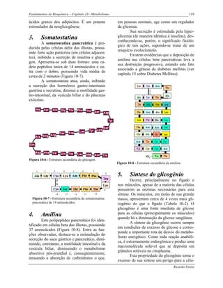 Fundamentos de Bioquímica – Capítulo 10 - Metabolismo                                                     119

ácidos graxos dos adipócitos. É um potente              em pessoas normais, age como um regulador
estimulador da neoglicogênese.                          da glicemia.
                                                                Sua secreção é estimulada pela hiper-
3.      Somatostatina                                   glicemia (de maneira idêntica à insulina), des-
                                                        conhecendo-se, porém, o significado fisioló-
         A somatostatina pancreática é pro-
                                                        gico de tais ações, supondo-se tratar de um
duzida pelas células delta das ilhotas, possu-
                                                        resquício evolucionário.
indo forte ação parácrina (em células adjacen-
                                                                Existem evidências que a deposição de
tes), inibindo a secreção de insulina e gluca-
                                                        amilina nas células beta pancreáticas leva a
gon. Apresenta-se sob duas formas: uma ca-
                                                        sua destruição progressiva, estando este fato
deia peptídica única de 14 aminoácidos e ou-
                                                        associado a gênese da diabetes mellitus (ver
tra com o dobro, possuindo vida média de
                                                        capítulo 15 sobre Diabetes Mellitus).
cerca de 2 minutos (Figura 10-7).
         A somatostatina atua, ainda, inibindo
a secreção dos hormônios gastro-intestinais
gastrina e secretina, diminui a motilidade gas-
tro-intestinal, da vesícula biliar e do pâncreas
exócrino.




Figura 10-6 - Estrutura secundária do glucagon.
                                                        Figura 10-8 - Estrutura secundária da amilina.


                                                        5.       Síntese do glicogênio
                                                                Ocorre, principalmente no fígado e
                                                        nos músculos, apesar de a maioria das células
                                                        possuírem as enzimas necessárias para esta
                                                        síntese. Os músculos, em razão de sua grande
  Figura 10-7 - Estrutura secundária da somatostatina   massa, apresentam cerca de 4 vezes mais gli-
  pancreática de 14 aminoácidos.                        cogênio do que o fígado (Tabela 10-2). O
                                                        glicogênio é uma fonte imediata de glicose
4.      Amilina                                         para as células (principalmente os músculos)
                                                        quando há a diminuição da glicose sangüínea.
        Este polipeptídeo pancreático foi iden-
                                                                A síntese de glicogênio ocorre sempre
tificado em células beta das ilhotas, possuindo
                                                        em condições de excesso de glicose e corres-
37 aminoácidos (Figura 10-8). Entre as fun-
                                                        ponde a importante rota de desvio do metabo-
ções observadas, destaca-se a estimulação do
                                                        lismo energético. Como toda reação anabóli-
secreção do suco gástrico e pancreático, dimi-
                                                        ca, é extremamente endergônica e produz uma
nuindo, entretanto, a motilidade intestinal e da
                                                        macromolécula solúvel que se deposita em
vesícula biliar, diminuindo o metabolismo
                                                        grânulos solúveis no citoplasma.
absortivo pós-prandial e, conseqüentemente,
                                                                Esta propriedade do glicogênio torna o
atrasando a absorção de carboidratos o que,
                                                        excesso de sua síntese um perigo para a célu-
                                                                                                Ricardo Vieira
 