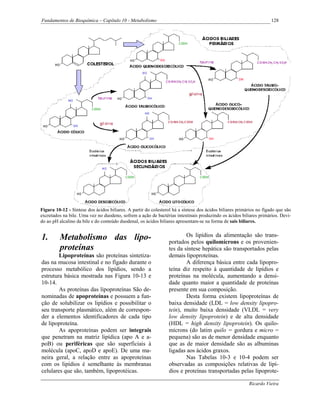 Fundamentos de Bioquímica – Capítulo 10 - Metabolismo                                                                128




Figura 10-12 - Síntese dos ácidos biliares. A partir do colesterol há a síntese dos ácidos biliares primários no fígado que são
excretados na bile. Uma vez no duodeno, sofrem a ação de bactérias intestinais produzindo os ácidos biliares primários. Devi-
do ao pH alcalino da bile e do conteúdo duodenal, os ácidos biliares apresentam-se na forma de sais biliares.


1.       Metabolismo das lipo-                                           Os lipídios da alimentação são trans-
                                                                 portados pelos quilomícrons e os provenien-
         proteínas                                               tes da síntese hepática são transportados pelas
        Lipoproteínas são proteínas sintetiza-                   demais lipoproteínas.
das na mucosa intestinal e no fígado durante o                           A diferença básica entre cada lipopro-
processo metabólico dos lipídios, sendo a                        teína diz respeito à quantidade de lipídios e
estrutura básica mostrada nas Figura 10-13 e                     proteínas na molécula, aumentando a densi-
10-14.                                                           dade quanto maior a quantidade de proteínas
        As proteínas das lipoproteínas São de-                   presente em sua composição.
nominadas de apoproteínas e possuem a fun-                               Desta forma existem lipoproteínas de
ção de solubilizar os lipídios e possibilitar o                  baixa densidade (LDL = low density lipopro-
seu transporte plasmático, além de correspon-                    tein), muito baixa densidade (VLDL = very
der a elementos identificadores de cada tipo                     low density lipoprotein) e de alta densidade
de lipoproteína.                                                 (HDL = high density lipoprotein). Os quilo-
        As apoproteínas podem ser integrais                      mícrons (do latim quilo = gordura e micro =
que penetram na matriz lipídica (apo A e a-                      pequena) são as de menor densidade enquanto
poB) ou periféricas que são superficiais à                       que as de maior densidade são as albuminas
molécula (apoC, apoD e apoE). De uma ma-                         ligadas aos ácidos graxos.
neira geral, a relação entre as apoproteínas                             Nas Tabelas 10-3 e 10-4 podem ser
com os lipídios é semelhante às membranas                        observadas as composições relativas de lipí-
celulares que são, também, lipoprotéicas.                        dios e proteínas transportadas pelas lipoprote-

                                                                                                         Ricardo Vieira
 