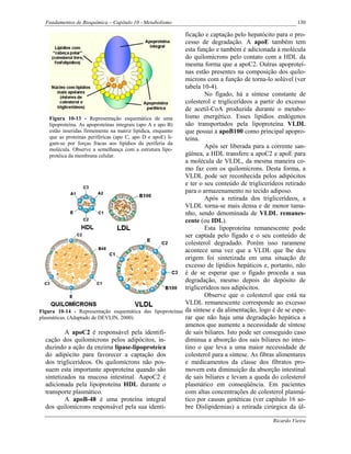 Fundamentos de Bioquímica – Capítulo 10 - Metabolismo                                                  130

                                                             ficação e captação pelo hepatócito para o pro-
                                                             cesso de degradação. A apoE também tem
                                                             esta função e também é adicionada à molécula
                                                             do quilomícrons pelo contato com a HDL da
                                                             mesma forma que a apoC2. Outras apoproteí-
                                                             nas estão presentes na composição dos quilo-
                                                             microns com a função de torna-lo solúvel (ver
                                                             tabela 10-4).
                                                                     No fígado, há a síntese constante de
                                                             colesterol e triglicerídeos a partir do excesso
                                                             de acetil-CoA produzida durante o metabo-
     Figura 10-13 - Representação esquemática de uma         lismo energético. Esses lipídios endógenos
     lipoproteína. As apoproteínas integrais (apo A e apo B) são transportados pela lipoproteína VLDL
     estão inseridas firmemente na matriz lipídica, enquanto que possui a apoB100 como principal apopro-
     que as proteínas periféricas (apo C, apo D e apoE) li-  teína.
     gam-se por forças fracas aos lipídios da periferia da
     molécula. Observe a semelhança com a estrutura lipo-
                                                                     Após ser liberada para a corrente san-
     protéica da membrana celular.                           güínea, a HDL transfere a apoC2 e apoE para
                                                             a molécula de VLDL, da mesma maneira co-
                                                             mo faz com os quilomícrons. Desta forma, a
                                                             VLDL pode ser reconhecida pelos adipócitos
                                                             e ter o seu conteúdo de triglicerídeos retirado
                                                             para o armazenamento no tecido adiposo.
                                                                     Após a retirada dos triglicerídeos, a
                                                             VLDL torna-se mais densa e de menor tama-
                                                             nho, sendo denominada de VLDL remanes-
                                                             cente (ou IDL).
                                                                     Esta lipoproteína remanescente pode
                                                             ser captada pelo fígado e o seu conteúdo de
                                                             colesterol degradado. Porém isso raramene
                                                             acontece uma vez que a VLDL que lhe deu
                                                             origem foi sintetizada em uma situação de
                                                             excesso de lipídios hepáticos e, portanto, não
                                                             é de se esperar que o fígado proceda a sua
                                                             degradação, mesmo depois do depósito de
                                                             triglicerídeos nos adipócitos.
                                                                     Observe que o colesterol que está na
                                                             VLDL remanescente corresponde ao excesso
Figura 10-14 - Representação esquemática das lipoproteínas da síntese e da alimentação, logo é de se espe-
plasmáticas. (Adaptado de DEVLIN, 2000).                     rar que não haja uma degradação hepática a
                                                             amenos que aumente a necessidade de síntese
            A apoC2 é responsável pela identifi-             de sais biliares. Isto pode ser conseguido caso
   cação dos quilomícrons pelos adipócitos, in-              diminua a absorção dos sais biliares no intes-
   duzindo a ação da enzima lipase-lipoproteíca              tino o que leva a uma maior necessidade de
   do adipócito para favorecer a captação dos                colesterol para a síntese. As fibras alimentares
   dos triglicerídeos. Os quilomícrons não pos-              e medicamentos da classe dos fibratos pro-
   suem esta importante apoproteína quando são               movem esta diminuição da absorção intestinal
   sintetizados na mucosa intestinal. AapoC2 é               de sais biliares e levam a queda do colesterol
   adicionada pela lipoproteína HDL durante o                plasmático em conseqüência. Em pacientes
   transporte plasmático.                                    com altas concentrações de colesterol plasmá-
            A apoB-48 é uma proteína integral                tico por causas genéticas (ver capítulo 16 so-
   dos quilomícrons responsável pela sua identi-             bre Dislipidemias) a retirada cirúrgica da úl-

                                                                                               Ricardo Vieira
 