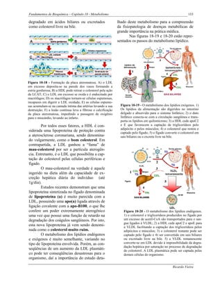 Fundamentos de Bioquímica – Capítulo 10 - Metabolismo                                                               133

degradado em ácidos biliares ou excretados                       lhado deste metabolismo para a compreensão
como colesterol livre na bile.                                   da fisiopatologia de doenças metabólicas de
                                                                 grande importância na prática médica.
                                                                         Nas figuras 18-19 e 18-20 estão repre-
                                                                 sentados os passos do metabolismo lipídico.




Figura 10-18 - Formação da placa ateromatosa. A) o LDL
em excesso deposita-se na parede dos vasos formando a
estria gordurosa; B) a HDL pode retirar o colesterol pela ação
da LCAT; C) o LDL em excesso se oxida e é endocitado por
macrófagos; D) os macrófagos tornam-se células espumosas,
incapazes em digerir a LDL oxidada; E) as células espumo-
sas acumulam-se na camada íntima das artérias levando a sua        Figura 10-19 - O metabolismo dos lipídios exógenos. 1)
destruição; F) a lesão contínua leva a fibrose e calcificação      Os lipídios da alimentação são digeridos no intestino
da placa ateromatosa, impedindo a passagem de oxigênio             delgado e absorvido para o sistema linfático; 2) o duto
para o miocárdio, levando ao infarto.                              linfático conecta-se com a circulação sangüínea e trans-
                                                                   porta os lipídios em quilomícrons; 3) a HDL cede apoC2
        Por todos esses fatores, a HDL é con-                      e E que favorecem a captação de triglicerídeos pelo
                                                                   adipócito e pelos músculos; 4) o colesterol que restou e
siderada uma lipoproteína de proteção contra                       captado pelo fígado; 5) o fígado converte o colesterol em
a aterosclerose coronariana, sendo denomina-                       sais biliares ou o excreta livre na bile.
do vulgarmente, como o bom colesterol. Em
contrapartida, a LDL ganhou a “fama” de
mau-colesterol por ser a partícula aterogên-
cia. Entretanto, é o LDL que possibilita a cap-
tação do colesterol pelas células periféricas e
fígado.
        O mau-colesterol na verdade é aquele
ingerido na dieta além da capacidade de ex-
creção hepática diária do indivíduo (até
1g/dia).
        Estudos recentes demonstram que uma
lipoproteína sintetizada no fígado denominada
de lipoproteína (a) é muito parecida com a
LDL, possuindo uma apo(a) ligada através de
ligação covalente com a apo-B100, o que lhe
confere um poder extremamente aterogênico                            Figura 10-20 - O metabolismo dos lipídios endógenos.
uma vez que possui uma função de retardo na                          1) o colesterol e triglicerídeos produzidos no fígado por
degradação dos coágulos sangüíneos. Por isto,                        um excesso de acetil-CoA são transportados para o san-
                                                                     gue ligados à VLDL; 2) a HDL cede apoC2 e apoE para
esta nova lipoproteína já vem sendo denomi-                          a VLDL facilitando a captação dos triglicerídeos pelos
nada como o colesterol muito ruim.                                   adipócitos e músculos; 3) o colesterol restante pode ser
        O metabolismo dos lipídios endógenos                         captado pelo fígado e 4) ser convertido em sais biliares
e exógenos é muito semelhante, variando no                           ou excretado livre na bile. 5) a VLDL remanescente
tipo de lipoproteína envolvida. Porém, as con-                       converte-se em LDL devido à impossibilidade da degra-
                                                                     dação hepática por saturação no processo de degradação
seqüências de um aumento da LDL plasmáti-                            do colesterol. A LDL plasmática pode ser captada pelas
co pode ter conseqüências desastrosas para o                         demais células do organismo.
organismo, daí a importância do estudo deta-

                                                                                                         Ricardo Vieira
 