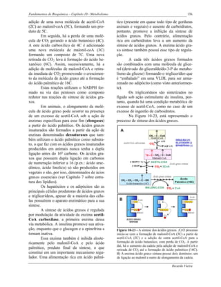 Fundamentos de Bioquímica – Capítulo 10 - Metabolismo                                                    136

adição de uma nova molécula de acetil-CoA               tico (presente em quase todo tipo de gorduras
(2C) ao malonil-coA (3C), formando um pro-              animais e vegetais) e ausente de carboidratos,
duto de 5C.                                             portanto, promove a inibição da síntese de
         Em seguida, há a perda de uma molé-            ácidos graxos. Pelo contrário, alimentação
cula de CO2 gerando o ácido butanóico (4C).             rica em carboidratos leva a um aumento da
A este ácido carboxilíco de 4C é adicionado             síntese de ácidos graxos. A enzima ácido gra-
uma nova molécula de malonil-coA (3C)                   xo sintase também possui esse tipo de regula-
formando um composto de 7C. Uma nova                    ção.
retirada de CO2 leva à formação do ácido he-                    A cada três ácidos graxos formados
xanóico (6C). Assim, sucessivamente, há a               são combinados com uma molécula de glice-
adição de moléculas de malonil-CoA e retira-            rol (derivado do gliceraldeído-3-P do metabo-
da imediata de CO2 promovendo o crescimen-              lismo da glicose) formando o triglicerídeo que
to da molécula de ácido graxo até a formação            é “embalado” em uma VLDL para ser arma-
do ácido palmítico de 16C.                              zenado no adipócito (como visto anteriormen-
         Estas reações utilizam o NADPH for-            te).
mado na via das pentoses como composto                          Os triglicerídeos são sintetizados no
redutor nas reações de síntese de ácidos gra-           fígado sob ação estimulante da insulina, por-
xos.                                                    tanto, quando há uma condição metabólica de
         Em animais, o alongamento da molé-             excesso de acetil-CoA, como no caso de um
cula de ácido graxo pode ocorrer na presença            excesso de ingestão de carboidratos.
de um excesso de acetil-CoA sob a ação de                       Na Figura 10-23, está representado o
enzimas específicas para esse fim (elongases)           processo de síntese dos ácidos graxos.
a partir do ácido palmítico. Os ácidos graxos
insaturados são formados a partir da ação de
enzinas denominadas dessaturases que tam-
bém utilizam o ácido palmítico como substra-
to, o que faz com os ácidos graxos insaturados
produzidos em animais nunca tenha a dupla
ligação antes do 16o carbono. Os ácidos gra-
xos que possuem dupla ligação em carbonos
de numeração inferior a 16 (p.ex.: ácido arac-
dônico, ácido linolíco) só são produzidos em
vegetais e são, por isso, denominados de ácios
graxos essenciais (ver Capítulo 7 sobre estru-
tura dos lipídios).
         Os hepatócitos e os adipócitos são as
principais células produtoras de ácidos graxos
e triglicerídeos, apesar de a maioria das célu-
las possuírem o aparato enzimático para a sua
síntese.
         A síntese de ácidos graxos é regulada
por modulação da atividade da enzima acetil-
CoA carboxilase, a primeira enzima dessa
via metabólica. A insulina promove sua ativa-
ção, enquanto que o glucagon e a epinefrina a           Figura 10-23 - A síntese dos ácidos graxos. A) O processo
tornam inativa.                                         inicia-se com a formação de malonil-CoA (3C) a partir de
         Essa enzima também é inibida aloste-           acetil-CoA (2C) e a adição de outra acetil-CoA para a
ricamente pelo malonil-CoA e pelo ácido                 formação de ácido butanóico, com perda de CO2. A partir
                                                        daí, há o aumento da cadeia pela adição de malonil-CoA e
palmítico, produto final da síntese, o que              retirada de CO2 até a formação de ácido palmítico (16C).
constitui em um importante mecanismo regu-              B) A enzima ácido graxo sintase possui dois domínios: um
lador. Uma alimentação rica em ácido palmí-             de ligação ao malonil e outro de alongamento da cadeia.

                                                                                              Ricardo Vieira
 