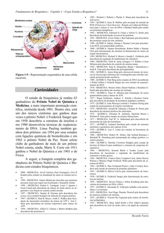 Fundamentos de Bioquímica - Capítulo 1 - O que Estuda a Bioquímica?                                                                      11
                                                                     •   1993 - Richard J. Roberts e Phylip A. Sharp pela descoberta de
                                                                         split-genes.
                                                                     •   1993 - QUÍMICA: Kary B. Mullins pela invenção do método da
                                                                         PCR (Polymerase Chain Reaction - Reação em Cadeia da Polime-
                                                                         rase) para a síntese in vitro de DNA e Michael Smith pelo estudo
                                                                         em proteínas mutagênicas.
                                                                     •   1992 - MEDICINA: Edmond H. Fisher e Edwin G. Krebs pela
                                                                         descoberta da fosforilação reversível de proteínas.
                                                                     •   1991 - MEDICINA: Erwin Neher e Bert Sakmann pela descoberta
                                                                         das proteínas canais de íons celulares.
                                                                     •   1989 - QUÍMICA: Sidney Altman e Thomas Cech pela descober-
                                                                         ta de RNA com propriedade catalítica.
                                                                     •   1988 - QUÍMICA: Johann Deisenhofer, Robert Huber e Harmut
                                                                         Chel pela determinação da estrutura tri-dimensional do centro da
                                                                         reação fotossintética.
                                                                     •   1985- MEDICINA: Michael S. Brown e Joseph L. Goldstein pela
                                                                         descoberta da regulação do metabolismo do colesterol.
                                                                     •   1984 - MEDICINA: Niels K. Jerne, Georges J. F. Köhler e César
                                                                         Milstein pela descoberta do controle do sistema imune.
                                                                     •   1982 - MEDICINA: Sune K. Bergström, Bengt I. Samueksson e
                                                                         Jonh R. Vane pela descoberta das prostaglandinas.
                                                                     •   1982 - QUÍMICA: Aaron Klug pelo dewsenvolvimento de técni-
Figura 1-9 - Representação esquemática de uma célula                     cas de microscopia eletrônica por cristalografia para elucidar inte-
eucariota.                                                               rações proteínas/ácidos nucléicos.
                                                                     •   1980 - QUÍMICA: Paul Berg pelos estudos de DNA recombinate
                                                                         e Walter Gilbert e Frederik Sanger por seus estudos de sequenci-
                                                                         amento de DNA.
                                                                     •   1978 - MEDICINA: Werner Arber, Daniel Nathans e Hamilton O.
                   Curiosidades                                          Smith pela descoberta das enzimas de restrição.
                                                                     •   1978 - QUÍMICA: Peter D. Mitchel pela formulação da teoria
                                                                         quimiosmótica para a síntese do ATP.
         O estudo da bioquímica já rendeu 63                         •   1977 - Roger Guillemin, Andrew V. Schally e Rosalyn Yalow
                                                                         pela descoberta da produção de hormônios peptídeos cerebrais.
ganhadores do Prêmio Nobel de Química e                              •   1975 - QUÍMICA: Jonh Warcup Conforth e Vladimir Prelog pelo
Medicina, a mais importante premiação cien-                              estudo da estereoquímica de reações enzimáticas.
tífica, instituída desde 1901. Dentre eles, está                     •   1972 - MEDICINA: Gerald M. Edelman e Rodney R. Porter pela
                                                                         descoberta da estrutura protéica dos anticorpos.
um dos únicos cientistas que ganhou duas                             •   1972 - QUÍMICA: Christian B. Anfinsen, Stanford Moore e
vezes o prêmio Nobel: é Frederick Sanger que                             William H. Stein pelos estudos na enzima ribonuclease.
                                                                     •   1971 - MEDICINA: Earl W. Jr. Sutherland pela descorberta do
em 1958 descobriu a estrutura da insulina e                              mecanismo de ação dos hormônios.
em 1980 desenvolveu técnicas de seqüencia-                           •   1971 - QUÍMICA: Gerhard Herzberg pelo estudo da estrutura
                                                                         eletrônica e geométrica dos radicais livres.
mento de DNA. Linus Pauling também ga-                               •   1970 - QUÍMICA: Luis F. Leloir por estudos na biossíntese de
nhou dois prêmios: em 1954 por seus estudos                              carboidratos
                                                                     •   1968 - MEDICINA: Robert W. Holley, Har Gobind Khorana e
com ligações químicas de biomoléculas e em                               Marshall W. Nirenberg pela interpretação do código genético e a
1962 o prêmio Nobel da Paz. Neste seleto                                 síntese protéica.
                                                                     •   1964 - QUÍMICA: Dorothy Crowfoot Hodgkin pela criação de
clube de ganhadores de mais de um prêmio                                 técnicas de Raios-X para estabelecer a estrutura de compostos bi-
Nobel consta, ainda, Marie S. Curie em 1911                              oquímicos.
                                                                     •   1964 - MEDICINA: Konrad Bloch e Feodor Lynen pela
ganhou o Nobel de Química e em 1903 o de                                 descoberta do mecanismo e regulação do metabolismo do
Física.                                                                  colesterol e ácidos graxos.
         A seguir, a listagem completa dos ga-                       •   1962 - MEDICINA: Francis Harry Compton Crick, James Dewey
                                                                         Watson e Maurice Hugh Frederick Wilks pela descoberta da es-
nhadores do Prêmio Nobel de Química e Me-                                trutura do DNA.
dicina com estudos bioquímicos.                                      •   1962 - QUÍMICA: Max Ferdinand Perutz e John Cowdery Ken-
                                                                         drew pelo estudo da estrutura de proteínas globulares.
                                                                     •   1961 - QUÍMICA: Melvin Calvin pelo esclarecimento da fotos-
•   2000 - MEDICINA: Arvid Carlsson, Paul Greengard e Eric R
                                                                         síntese.
    Kandel pelos estudos na transdução de sinais no sistema nervo-
    so.                                                              •   1958 - QUÍMICA: Frederick Sanger pela determinação da estru-
                                                                         tura da insulina
•   1999 - MEDICINA: Günter Blobel por descobrir que proteínas
    possuem sinais que regem sua localização e transporte celular.   •   1959 - MEDICINA: Severo Ochoa e Arthur Kornberg pela des-
                                                                         coberta da biosíntese de DNA e RNA.
•   1998 - MEDICINA: Robert F. Furchgott, Louis J. Ignarro e
    Ferid Umrad pela descoberta da síntese de ácido nítrico no or-   •   1957 - QUÍMICA: Alexander R. Todd pelo trabalho com nucleo-
    ganismo e sua função no sistema cardiovascular.                      tídeos e co-enzimas.
•   1997 - MEDICINA: Stanley B. Prusiner pela descoberta dos         •   1955 - MEDICINA: Axel Hugo Theodor Theorell pela descoberta
    príons, novo modelo biológico de infecção de origem protéica.        da natureza oxidativa de enzimas.
•   1997 - QUÍMICA: Paul B. Boyer e Jonh E. Walker pela eluci-       •   1955 - QUÍMICA: Vincent Du Vigneaud pela síntese de hormô-
    dação do mecanismo enzimático da síntese do ATP e Jens C.            nios polipetídeos.
    Skou pela descoberta da enzima responsável pela síntese do       •   1953 - MEDICINA: Hans Adolf Krebs e Fritz Albert Lipmann
    ATP.                                                                 pela descoberta do ciclo do ácido cítico e do papel da coenzima-
•   1994 - MEDICINA: Alfred G. Gilman e Martin Rodbell pela              A.
    descoberta das proteínas-G.

                                                                                                                         Ricardo Vieira
 
