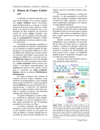 Fundamentos de Bioquímica – Capítulo 10 - Metabolismo                                                      137

4. Síntese de Corpos Cetôni-                            volátil, o que leva a um hálito cetônico carac-
                                                        terístico.
   cos                                                         Em pacientes diabéticos, a ausência de
                                                        insulina e a alta quantidade de acetil-CoA
       O acúmulo de acetil-CoA devido ao ex-            pela beta-oxuidação estimulam intensamente
cesso da β-oxidação, leva à síntese hepática            a síntese de corpos cetônicos o que leva a
dos corpos cetônicos (ácido ceto-acético,               sérias complicações patológicas (ver Capitulo
ácido β-hidróxi-butírico e acetona). A reação           15 sobre Diabetes Mellitus).
inicial da síntese dos corpos cetônicos é seme-                O fígado é um grande produtor de cor-
lhante à da síntese do colesterol, com a con-           pos cetônicos, embora não tenha a capacidade
densação de duas moléculas de acetil-CoA                de grada-los uma vez que não possui a enzima
através da enzima tiolase formando ceto-                tioforase. Desta forma, os hepatócitos liberam
acetil-CoA, que se condensa com outra molé-             para o sangue quase todo os corpos cetônicos
cula de ceto-acetil-CoA formando o HMG-                 circulantes.
CoA (semelhante ao processo inicial de sínte-                  Quando se realiza uma dieta isenta de
se do colesterol).                                      carboidratos e rica em lipídios, há uma inibi-
       Na presença de glucagon, epinefrina ou           ção da síntese de ácidos graxos e a queda de
altas quantidades de colesterol citoplasmático          insulina e aumento de glucagon observado,
ou na ausência de insulina (quando há hipo-             promove o desvio da grande quantidade de
glicemia ou em pacientes diabéticos) a enzi-            acetil-CoA resultante da beta-oxidação dos
ma HMG-CoA redutase (que levaria a síntese              ácidos graxos para a única via metabólica
de colesterol) está inibida o que promove um            disponível para o metabolismo energético que
acúmulo de HMG-CoA e a ativação da enzi-                é a síntese de corpos cetônicos.
ma HMG-CoA liase que retira uma molécula                       Na figura 10-24 está resumido o proces-
de acetil-CoA e gera o primeiro corpo cetôni-           so de síntese de corpos cetônicos.
co, o ácido cetoacético. Parte do ácido ceto-
acético é convertido, espontaneamente, em
acetona pela perda de CO2, porém a maior
parte é convertida em ácido β-hidróxi-
butírico, através da enzima 3-OH-butirato-
desidrogenase.
       Os corpos cetônicos (com exceção da
acetona) possuem função energética como
substrato da neoglicogênese ou por oxidação
direta gerando acetil-CoA a través da ação da
enzima tioforase que gera acetoacetil-CoA e,
posteriormente, a acetil-CoA. Os neurônios
utilizam os corpos cetônicos como fonte ime-
diata na ausência de glicose, não utilizando
nenhum outro substrato energético.
       No jejum prolongado, os corpos cetôni-
cos constituem-se importante fonte energéti-
ca, entretanto, um excesso sangüíneo leva a
uma queda acentuada do pH (cetoacidose)
que pode levar ao coma e ao óbito.                      Figura 10-24 - A síntese dos corpos cetônicos. A) As
       A acetona, entretanto, não tem função            reações iniciais são idênticas às da síntese de colesterol,
energética e tende a destruir a bainha mielíni-         com exceção da ativação da enzima HMG-CoA liase ao
ca dos neurônios devido seu alto poder sol-             invés da HMG-CoA sintase. B) Os corpos cetônicos fazem
vente de lipídios A acetona formada pode ser            parte de uma tríade de desvios metabólicos do excesso de
                                                        acetil-CoA na mitocôndria e possuem importante função
excretada na urina ou pelos pulmões por ser             energética sendo, entretanto, danosos ao organismo quando
                                                        em excesso.
                                                                                                Ricardo Vieira
 