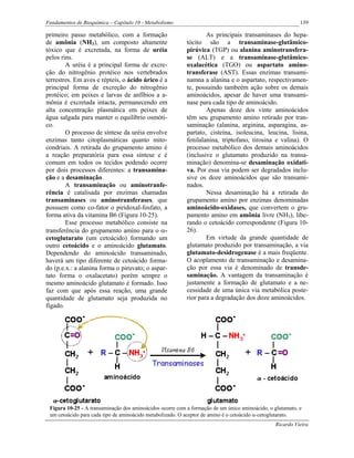 Fundamentos de Bioquímica – Capítulo 10 - Metabolismo                                                      139

primeiro passo metabólico, com a formação                          As principais transaminases do hepa-
de amônia (NH3), um composto altamente                     tócito são a transaminase-glutâmico-
tóxico que é excretada, na forma de uréia                  pirúvica (TGP) ou alanina aminotransfera-
pelos rins.                                                se (ALT) e a transaminase-glutâmico-
        A uréia é a principal forma de excre-              oxalacética (TGO) ou aspartato amino-
ção do nitrogênio protéico nos vertebrados                 transferase (AST). Essas enzimas transami-
terrestres. Em aves e répteis, o ácido úrico é a           namna a alanina e o aspartato, respectivamen-
principal forma de excreção do nitrogênio                  te, possuindo tambeém ação sobre os demais
protéico; em peixes e larvas de anfíbios a a-              aminoácidos, apesar de haver uma transami-
mônia é excretada intacta, permanecendo em                 nase para cada tipo de aminoácido.
alta concentração plasmática em peixes de                          Apenas doze dos vinte aminoácidos
água salgada para manter o equilíbrio osmóti-              têm seu grupamento amino retirado por tran-
co.                                                        saminação (alanina, arginina, asparagina, as-
        O processo de síntese da uréia envolve             partato, cisteína, isoleucina, leucina, lisina,
enzimas tanto citoplasmáticas quanto mito-                 fenilalanina, triptofano, tirosina e valina). O
condriais. A retirada do grupamento amino é                processo metabólico dos demais aminoácidos
a reação preparatória para essa síntese e é                (inclusive o glutamato produzido na transa-
comum em todos os tecidos podendo ocorre                   minação) denomina-se desaminação oxidati-
por dois processos diferentes: a transamina-               va. Por essa via podem ser degradados inclu-
ção e a desaminação.                                       sive os doze aminoácidos que são transami-
        A transaminação ou aminotranfe-                    nados.
rência é catalisada por enzimas chamadas                           Nessa desaminação há a retirada do
transaminases ou aminotransferases, que                    grupamento amino por enzimas denominadas
possuem como co-fator o piridoxal-fosfato, a               aminoácido-oxidases, que convertem o gru-
forma ativa da vitamina B6 (Figura 10-25).                 pamento amino em amônia livre (NH3), libe-
        Esse processo metabólico consiste na               rando o cetoácido correspondente (Figura 10-
transferência do grupamento amino para o α-                26).
cetoglutarato (um cetoácido) formando um                           Em virtude da grande quantidade de
outro cetoácido e o aminoácido glutamato.                  glutamato produzido por transaminação, a via
Dependendo do aminoácido transaminado,                     glutamato-desidrogenase é a mais freqüente.
haverá um tipo diferente de cetoácido forma-               O acoplamento de transaminação e desamina-
do (p.e.x.: a alanina forma o piruvato; o aspar-           ção por essa via é denominado de transde-
tato forma o oxalacetato) porém sempre o                   saminação. A vantagem da transaminação é
mesmo aminoácido glutamato é formado. Isso                 justamente a formação de glutamato e a ne-
faz com que após essa reação, uma grande                   cessidade de uma única via metabólica poste-
quantidade de glutamato seja produzida no                  rior para a degradação dos doze aminoácidos.
fígado.




 Figura 10-25 - A transaminação dos aminoácidos ocorre com a formação de um único aminoácido, o glutamato, e
 um cetoácido para cada tipo de aminoácido metabolizado. O aceptor de amino é o cetoácido α-cetoglutarato.
                                                                                                Ricardo Vieira
 