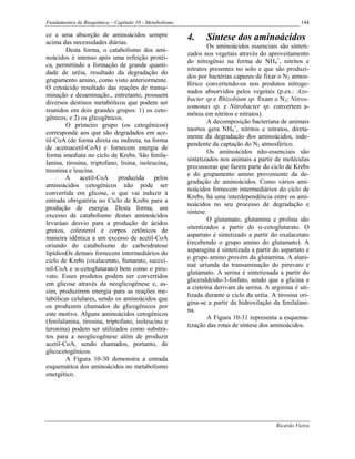 Fundamentos de Bioquímica – Capítulo 10 - Metabolismo                                                144

ce a uma absorção de aminoácidos sempre                 4.     Síntese dos aminoácidos
acima das necessidades diárias.
                                                                Os aminoácidos essenciais são sinteti-
        Desta forma, o catabolismo dos ami-
                                                        zados nos vegetais através do aproveitamento
noácidos é intenso após uma refeição protéi-
                                                        do nitrogênio na forma de NH4+, nitritos e
ca, permitindo a formação de grande quanti-
                                                        nitratos presentes no solo e que são produzi-
dade de uréia, resultado da degradação do
                                                        dos por bactérias capazes de fixar o N2 atmos-
grupamento amino, como visto anteriormente.
                                                        férico convertendo-os nos produtos nitroge-
O cetoácido resultado das reações de transa-
                                                        nados absorvidos pelos vegetais (p.ex.: Azo-
minação e desaminação., entretanto, possuem
                                                        bacter sp.e Rhizobium sp. fixam o N2; Nitros-
diversos destinos metabólicos que podem ser
                                                        somonas sp. e Nitrobacter sp. convertem a-
reunidos em dois grandes grupos: 1) os ceto-
                                                        mônia em nitritos e nitratos).
gênicos; e 2) os glicogênicos.
                                                                A decomposição bacteriana de animais
        O primeiro grupo (os cetogênicos)
                                                        mortos gera NH4+, nitritos e nitratos, direta-
corresponde aos que são degradados em ace-
                                                        mente da degradação dos aminoácidos, inde-
til-CoA (de forma direta ou indireta, na forma
                                                        pendente da captação do N2 atmosférico.
de acetoacetil-CoA) e fornecem energia de
                                                                Os aminoácidos não-essenciais são
forma imediata no ciclo de Krebs. São fenila-
                                                        sintetizados nos animais a partir de moléculas
lanina, tirosina, triptofano, lisina, isoleucina,
                                                        precussoras que fazem parte do ciclo de Krebs
treonina e leucina.
                                                        e do grupamento amino proveniente da de-
        A acetil-CoA produzida pelos
                                                        gradação de aminoácidos. Como vários ami-
aminoácidos cetogênicos não pode ser
                                                        noácidos fornecem intermediários do ciclo de
convertida em glicose, o que vai induzir à
                                                        Krebs, há uma interdependência entre os ami-
entrada obrigatória no Ciclo de Krebs para a
                                                        noácidos no seu processo de degradação e
produção de energia. Desta forma, um
                                                        síntese.
excesso de catabolismo destes aminoácidos
                                                                 O glutamato, glutamina e prolina são
levaráao desvio para a produção de ácidos
graxos, colesterol e corpos cetônicos de                sitentizados a partir do α-cetoglutarato. O
maneira idêntica a um excesso de acetil-CoA             aspartato é sintetizado a partir do oxalacetato
oriundo do catabolismo de carboidratose                 (recebendo o grupo amino do glutamato). A
lipídios. demais fornecem intermediários do
        Os                                              asparagina é sintetizada a partir do aspartato e
ciclo de Krebs (oxalacetato, fumarato, succci-          o grupo amino provém da glutamina. A alani-
                                                        naé uriunda da transaminação do piruvato e
nil-CoA e α-cetoglutarato) bem como o piru-
                                                        glutamato. A serina é sintetiosada a partir do
vato. Esses produtos podem ser convertidos
                                                        gliceraldeído-3-fosfato, sendo que a glicina e
em glicose através da neoglicogênese e, as-
                                                        a cisteína derivam da serina. A arginina é uti-
sim, produzirem energia para as reações me-
                                                        lizada durante o ciclo da uréia. A tirosina ori-
tabólicas celulares, sendo os aminoácidos que
                                                        gina-se a partir da hidroxilação da fenilalani-
os produzem chamados de glicogênicos por
                                                        na.
este motivo. Alguns aminoácidos cetogênicos
                                                                 A Figura 10-31 representa a esquema-
(fenilalanina, tirosina, triptofano, isoleucina e
                                                        tização das rotas de síntese dos aminoácidos.
teronina) podem ser utilizados como substra-
tos para a neoglicogênese além de produzir
acetil-CoA, sendo chamados, portanto, de
glicocetogênicos.
        A Figura 10-30 demonstra a entrada
esquemática dos aminoácidos no metabolismo
energético.




                                                                                           Ricardo Vieira
 