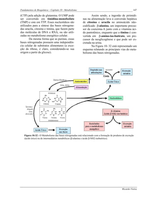 Fundamentos de Bioquímica – Capítulo 10 - Metabolismo                                                        147

(CTP) pela adição de glutamina. O UMP pode                         Assim sendo, a ingestão de pirimidi-
ser convertido em timidina-monofosfato                      nas na alimentação leva à conversão hepática
(TMP) e este em TTP. Esses nucleotídeos são                 de citosina e uracila no aminoácido não-
utilizados para a síntese das bases nitrogena-              codificado β-alanina, um importante precus-
das uracila, citosina e timina, que fazem parte             sor da coenzima-A junto com a vitamina áci-
das moléculas de DNA e RNA, ou são utili-                   do pantotênico, enquanto que a timina é con-
zadas no metabolismo energético celular.                    vertida em β-amino-iso-butirato, um pre-
        Da mesma forma que as purinas, essas                cussor da neoglicogênese e que pode ser ex-
bases nitrogenadas possuem uma independên-                  cretada na urina.
cia celular de substratos alimentares (a exce-                     Na Figura 10- 32 está representado um
ção da ribose, é claro, considerando-se sua                 esquema relatando as principais vias do meta-
origem a partir da glicose).                                bolismo das bases nitrogenadas.




   Figura 10-32 - O Metabolismo das bases nitrogenadas está relacionado com a formação de produtos de excreção
   (ácido úrico) ou de intermediários metabólicos (β-alanina e ácido β-NH2-isobutírico).




                                                                                                  Ricardo Vieira
 