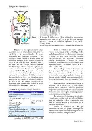 A origem das biomoléculas                                                                                  2




                                 Figura 1 –    O aparato de Miller: vapor d’água misturado a componentes
                                               elementares no universo sob a ação de descargas elétricas
                                               permite a síntese de moléculas orgânicas. Acima, o Dr.
                                               Stanley Miller
                                               Fonte: http://www.accessexcellence.com/WN/NM/miller.html

         Hoje, sabe-se que as proteínas com função                 Com os trabalhos de Sidney Altman,
enzimática são os catalisadores biológicos por            Thomas Cech, Francis Crik e Leslie Orgel (todos
excelência e a impossibilidade de serem                   ganhadores de Prêmio Nobel), tornou-se plausível
sintetizadas em condições primitivas é um                 a teoria de que uma molécula formada
empecilho para a elaboração de uma teoria que             espontaneamente em condições primitivas
abrangesse a origem de um sistema biológico na            pudesse autocatalisar a síntese de outras
ausência de tais enzimas. Somente com a                   moléculas, agora não mais randomicamente, mas
descoberta, em 1982, de que a enzima peptidil-            organizadamente e de maneira idêntica (CECH,
transferase (que catalisa a ligação peptídica que         1986; LEWIN, 1986).
ocorre nos ribossomos durante a síntese protéica)                  Este mundo pré-biótico onde uma espécie
é uma molécula de RNA, pôde-se formular teorias           de “sopa orgânica” fervilhava ao calor e descargas
mais consistentes. Vários estudos demonstram a            elétricas e novas macromoléculas complexas que
presença dessas moléculas de RNA em outros                se multiplicavam, agora poderia abrigar um
sistemas biológicos (p.ex.: em retrovírus), como          sistema químico estável, assim que as condições
reguladores do processo de splicing da molécula           de reação química da Terra permitissem (Figura
de RNAm ou até mesmo sintetizadas em                      2).
laboratório com propriedades catalíticas, sendo                    Provavelmente, vários milhões de anos se
denominadas de ribozimas (Tabela 2).                      passaram até a organização de um sistema
                                                          micelar onde partículas lipídicas pudessem
Tabela 2 – Reações catalisadas por ribozimas              proporcionar um microambiente aquoso diferente
Reação                          Ribozima                  do meio externo e as reações químicas pudessem
Formação de ligações            RNA ribossomal            ocorrer de maneira organizada.
peptídicas                                                         De fato, a propriedade apolar dos lipídios
Clivagem de RNA, ligação de                               é um trunfo especial neste período pré-biótico,
RNA                             Auto splicing de          onde as moléculas podem experimentar uma
Clivagem de DNA                 RNA                       sorte de combinações que se adaptam ou não às
Splicing de RNA                                           condições ambientais.
Ligação de DNA                                                     Assim, as moléculas de RNA que
Polimerização, fosforilação,    RNA sintetizado           conseguem catalisar sua própria síntese podem
aminoacilação e alquilação de   in vitro                  ser selecionadas nessas microesferas lipídicas e se
RNA                                                       multiplicar em bloco, uma protocélula.
Isomerização (ligação C-C)
       (Adaptado de ALBERTS et al., 1999, p. 241)

                                                                                               Ricardo Vieira
 