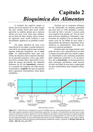 Capítulo 2
                      Bioquímica dos Alimentos
        A evolução das espécies sempre se                               Acontece que os compostos alimenta-
apoiou em novas maneiras de se obter energia                   res são sintetizados em tamanha quantidade
das mais variadas fontes para assim melhor                     que esses seres se viram obrigados a armaze-
aproveitar as matérias primas que a natureza                   nar parte de dele e excretar o excesso junto
oferece aos seres vivos. Seres mais sofistica-                 com oxigênio (sem dúvida, um “lixo de luxo”
dos na forma de obter energia, têm-se mostra-                  deste processo metabólico). Entretanto, o apa-
do superiores nesta escala evolutiva e seus                    recimento de oxigênio livre na atmosfera de-
descendentes impõem-se na pirâmide evoluti-                    morou cerca de um bilhão de anos desde o
va.                                                            aparecimento dos primeiros organismos fotos-
        Um grupo numeroso de seres vivos                       sintéticos, as cianobactérias, como pode ob-
especializou-se em captar a energia luminosa e                 servar nos registros geológicos.
convertê-la em energia química para sintetizar                          Somente após esse longo período outro
algumas moléculas energéticas: são os autó-                    grupo de seres vivos, especializou-se em obter
trofos. As matérias-primas bases para essa                     a energia necessária para suas reações orgâni-
síntese de alimentos eram compostos abundan-                   cas alimentando-se dos nutrientes produzidos
tes na atmosfera primitiva, como o gás carbô-                  pelos organismos autótrofos e o O2 da atmos-
nico (CO2), amônia (NH3), água (H2O). Com a                    fera: são os heterótrofos. As formas primitivas
ajuda de energia proveniente das radiações                     eram, entretanto, unicelulares, sendo necessá-
luminosas do sol, por fotossíntese, começou-                   rio mais um bilhão de anos para a organização
se a acumular um composto até então escasso                    em seres multicelulares mais complexos (Figu-
na atmosfera: o oxigênio (O2) que era expelido                 ra 2-1).
pelos organismos fotossintéticos como dejeto
metabólico.




Figura 2-1 - A idade da terra é estimada em cerca de 4,5 bilhões de anos, sendo proposto que por volta do primeiro bi-
lhão tenha surgido as primeiras células fotossintéticas autótrofas. No entanto, o O2 atmosférico necessário para o surgi-
mento dos autótrofos só torna-se disponível cerca de 2 bilhões de anos depois, devido à absorção do oxigênio produzido
pelo ferro da superfície da terra, fato comprovado pela existência de enormes depósitos de óxido de ferro nos sedimen-
tos mais antigos do planeta. Os seres muticelulares demoraram cerca de 3 bilhões para surgirem, o que mostra a dificul-
dade da organização celular parcialmente possibilitada pelo metabolismo aeróbio. (Adaptado de Biologia Molecular da
Célula - Albert B. et al., p.16, 1997.)
 