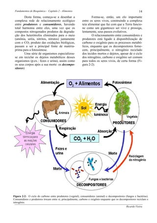 Fundamentos de Bioquímica - Capítulo 2 - Alimentos                                                           14
         Desta forma, começa-se a desenhar a                        Forma-se, então, um elo importante
 complexa rede de relacionamento ecológico                  entre os seres vivos, construindo a complexa
 entre produtores e consumidores, havendo                   teia alimentar que faz com que a Terra funcio-
 total harmonia entre eles, uma vez que os                  ne como um gigantesco ser vivo e prossiga,
 compostos nitrogenados produtos da degrada-                lentamente, seus passos evolutivos.
 ção dos heterótrofos eliminados para o meio                        O relacionamento entre consumidores e
 (amônia, uréia, nitritos, nitratos) juntamente             produtores está ligado à disponibilização de
 com o CO2 produto das oxidações biológicas,                carbono o oxigênio para os processos metabó-
 passam a ser a principal fonte de matéria-                 licos, enquanto que os decompositores forne-
 prima para a fotossíntese.                                 cem, principalmente, o nitrogênio reciclado
         Uma série de organismos especializou-              dos tecidos mortos e dejetos, apesar de o ciclo
 se em reciclar os dejetos metabólicos desses               dos nitrogênio, carbono e oxigênio ser comum
 organismos (p.ex.: fezes e urina), assim como              para todos os seres vivos, de certa forma (Fi-
 os seus corpos após a sua morte: os decompo-               gura 2-2).
 sitores)




Figura 2-2: O ciclo do carbono entre produtores (vegetal), consumidores (animal) e decompositores (fungos e bactérias).
Consumidores e produtores trocam entre si, principalmente, carbono e oxigênio enquanto que os decompositores reciclam o
nitrogênio.
                                                                                                   Ricardo Vieira
 