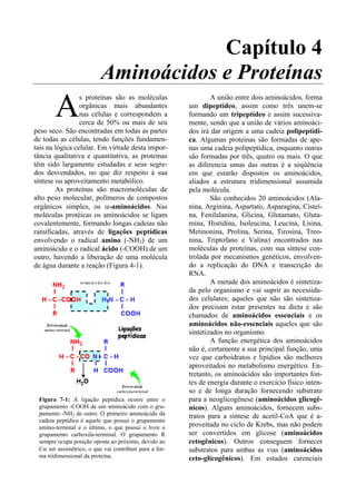 Capítulo 4
                          Aminoácidos e Proteínas
       A
                 s proteínas são as moléculas                   A união entre dois aminoácidos, forma
                 orgânicas mais abundantes              um dipeptídeo, assim como três unem-se
                 nas células e correspondem a           formando um tripeptídeo e assim sucessiva-
                 cerca de 50% ou mais de seu            mente, sendo que a união de vários aminoáci-
peso seco. São encontradas em todas as partes           dos irá dar origem a uma cadeia polipeptídi-
de todas as células, tendo funções fundamen-            ca. Algumas proteínas são formadas de ape-
tais na lógica celular. Em virtude desta impor-         nas uma cadeia polipeptídica, enquanto outras
tância qualitativa e quantitativa, as proteínas         são formadas por três, quatro ou mais. O que
têm sido largamente estudadas e seus segre-             as diferencia umas das outras é a seqüência
dos desvendados, no que diz respeito à sua              em que estarão dispostos os aminoácidos,
síntese ou aproveitamento metabólico.                   aliados a estrutura tridimensional assumida
        As proteínas são macromoléculas de              pela molécula.
alto peso molecular, polímeros de compostos                     São conhecidos 20 aminoácidos (Ala-
orgânicos simples, os α-aminoácidos. Nas                nina, Arginina, Aspartato, Asparagina, Cisteí-
moléculas protéicas os aminoácidos se ligam             na, Fenilalanina, Glicina, Glutamato, Gluta-
covalentemente, formando longas cadeias não             mina, Histidina, Isoleucina, Leucina, Lisina,
ramificadas, através de ligações peptídicas             Metinonina, Prolina, Serina, Tirosina, Treo-
envolvendo o radical amino (-NH2) de um                 nina, Triptofano e Valina) encontrados nas
aminoácido e o radical ácido (-COOH) de um              moléculas de proteínas, com sua síntese con-
outro, havendo a liberação de uma molécula              trolada por mecanismos genéticos, envolven-
de água durante a reação (Figura 4-1).                  do a replicação do DNA e transcrição do
                                                        RNA.
                                                                A metade dos aminoácidos é sintetiza-
                                                        da pelo organismo e vai suprir as necessida-
                                                        des celulares; aqueles que não são sintetiza-
                                                        dos precisam estar presentes na dieta e são
                                                        chamados de aminoácidos essenciais e os
                                                        aminoácidos não-essenciais aqueles que são
                                                        sintetizados no organismo.
                                                                A função energética dos aminoácidos
                                                        não é, certamente a sua principal função, uma
                                                        vez que carboidratos e lipídios são melhores
                                                        aproveitados no metabolismo energético. En-
                                                        tretanto, os aminoácidos são importantes fon-
                                                        tes de energia durante o exercício físico inten-
                                                        so e de longa duração fornecendo substrato
 Figura 7-1: A ligação peptídica ocorre entre o         para a neoglicogênese (aminoácidos glicogê-
 grupamento -COOH de um aminoácido com o gru-           nicos). Alguns aminoácidos, fornecem subs-
 pamento -NH2 de outro. O primeiro aminoácido da        tratos para a síntese de acetil-CoA que é a-
 cadeia peptídica é aquele que possui o grupamento
 amino-terminal e o último, o que possui o livre o      proveitada no ciclo de Krebs, mas não podem
 grupamento carboxila-terminal. O grupamento R          ser convertidos em glicose (aminoácidos
 sempre ocupa posição oposta ao próximo, devido ao      cetogênicos). Outros conseguem fornecer
 Cα ser assimétrico, o que vai contribuir para a for-   substratos para ambas as vias (aminoácidos
 ma tridimensional da proteína.                         ceto-glicogênicos). Em estados carenciais
 