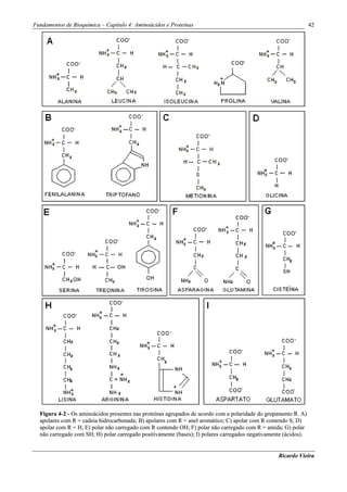 Fundamentos de Bioquímica – Capítulo 4: Aminoácidos e Proteínas                                                   42




  Figura 4-2 - Os aminoácidos presentes nas proteínas agrupados de acordo com a polaridade do grupamento R. A)
  apolares com R = cadeia hidrocarbonada; B) apolares com R = anel aromático; C) apolar com R contendo S; D)
  apolar com R = H; E) polar não carregado com R contendo OH; F) polar não carregado com R = amida; G) polar
  não carregado com SH; H) polar carregado positivamente (bases); I) polares carregados negativamente (ácidos).


                                                                                                   Ricardo Vieira
 