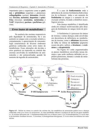 Fundamentos de Bioquímica – Capítulo 4: Aminoácidos e Proteínas                                                         44

importantes para o organismo como as puri-                                É o caso da fenilcetonúria onde a
nas e pirimidinas (aspartato e glutamina);                        deficiência da enzima fenilalanina-hidroxilase
esfingolipídios (serina); histamina (histidi-                     (ou de co-fatores) induz a um aumento da
na); tiroxina, melanina, dopamina e epine-                        fenilalanina no sangue e o aumento de sua
frina (tirosina); serotonina, melatonina e                        excreção urinária, levando a distúrbios neuro-
NAD+ (triptofano); purinas e porfirinas (gli-                     lógicos severos.
cina).                                                                    Esta doença metabólica é identificada
                                                                  ainda em crianças recém-nascidas pela dosa-
    Erros inatos do metabolismo                                   gem da fenilalanina no sangue (teste do pezi-
                                                                  nho).
       Na ausência das enzimas responsáveis                               A fenilalanina é o percussor da síntese
pela degradação de aminoácidos, há o seu                          de tirosina e outras doenças estão envolvidas
acúmulo no sangue com a excreção urinária e,                      em decorrência de deficiência no metabolis-
conjuntamente, o aparecimento de sintomato-                       mo da tirosina, como o albinismo decorrente
logia características de diversas síndromes                       de falha na síntese de melanina (pigmento
genéticas conhecidas como erros inatos do                         escuro da pele e pêlos), a tirosinose, o creti-
metabolismo. Essas alterações são devidas a                       nisno e a alcaptonúria.
erros genéticos na expressão ou controle das                              Na Figura 4-3 estão esquematizados
enzimas envolvidas no metabolismo de ami-                         os passos metabólicos envolvidos nessas do-
noácidos e são potencializadas quando há                          enças e que serão melhores definidos em ca-
aumento da ingestão de aminoácidos.                               pítulos posteriores, durante o estudo do meta-
                                                                  bolismo das proteínas.




Figura 4-3 - Defeito na síntese ou controle das enzimas das vias metabólicas de aminoácidos podem levar a doenças
conhecidas como erros inatos do metabolismo. As setas pontilhadas indicam a existência de mais de um passo metabóli-
co. As enzimas deficientes são: 1) fenilalanina-hidroxilase (ou co-fatores como a 5,6,7,8-tetraidropterina); 2) via de sínte-
se do hormônio tiroidiano tiroxina ; 3) tirosinase; 4) homogentisato-dioxigenase; 5) via de síntese da melanina nos mela-
nócitos.




                                                                                                           Ricardo Vieira
 
