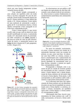 Fundamentos de Bioquímica – Capítulo 4: Aminoácidos e Proteínas                                                46

sáveis por uma função tamponante (evitam                          Se relacionarmos em um gráfico o pH
variações bruscas de pH).                                  em função dos equivalentes de uma base adi-
        Uma solução tampão corresponde a                   cionada a uma solução ácida de um aminoáci-
uma solução em equilíbrio entre um ácido                   do, observaremos os pontos fundamentais no
fraco e sua base conjugada. No caso do ami-                comportamento ácido-básico dos aminoácidos
noácido a forma ácida corresponde àquela que               (Figura 4-6).
doa H+ (forma catiônica) e a base àquela que
recebe o H+ (forma aniônica). Como dentro
de uma molécula de aminoácido a perda e
ganho de H+ é um fenômeno interno, a forma
dipolar corresponde à base conjugada ou ao
ácido fraco, dependendo do pH.
        Como a forma dipolar é a que ocorre
no pHi, toda vez que o pH cai abaixo do valor
do pHi (acidificação do meio), o aminoácido
recebe o H+ adicionado através da extremida-
de COO- tornando-se um cátion. Quando o
pH eleva-se acima do valor do pHi (alcalini-
zação do meio), o aminoácido torna-se um                     Figura 4-6 - A curva de titulação da glicina. O pHi
ânion devido à doação do H+ pelo grupamen-                   (somente formas dipolar isoelétricas) corresponde à
to NH3+ (Figura 4-5).                                        média entre os valores de pK1 ([dipolar] = [catiônica])
                                                             e pK2 ([dipolar] = [aniônica]).

                                                                   No início da titulação, teoricamente,
                                                           só existe a forma catiônica em virtude de o
                                                           aminoácido funcionar como um receptor de
                                                           prótons, ou seja, como uma base. Ao adicio-
                                                           nar uma base (OH-) ao sistema, começa a
                                                           haver a neutralização com o aparecimento da
                                                           forma dipolar até um determinado ponto em
                                                           haverá igualdade de concentração entre as
                                                           duas formas, entrando o sistema em equilí-
                                                           brio, correspondente ao pK1.
                                                                   Prosseguindo a titulação, com o au-
                                                           mento do pH em virtude do aumento gradual
                                                           da concentração de base, começará a predo-
                                                           minar a forma dipolar com a queda propor-
                                                           cional da forma catiônica até um ponto onde
                                                           só haverá a forma dipolar. Neste ponto, o pH
                                                           corresponderá ao pH isoelétrico (pHi) onde o
                                                           sistema se apresentará eletricamente neutro.
                                                                   Ao se adicionar mais base, há o apare-
                                                           cimento da forma aniônica até um determina-
                                                           do ponto em que haverá igualdade na concen-
Figura 4-5 - As três formas carregadas dos aminoáci-       tração entre a forma dipolar e a aniônica, en-
dos. A forma dipolar corresponde àquela que contém um      trando o sistema, novamente, em equilíbrio
pólo positivo em NH3+ e outro negativo em COO- (a          agora entre a forma dipolar e a forma aniôni-
carga final é neutra) e corresponde à única forma exis-    ca, correspondente ao pK2.
tente no pHi. A forma catiônica está presente em qual-
quer valor de pH abaixo do pHi, enquanto que a aniôni-             Adicionando mais base, haverá a pre-
ca é típica do aumento do valor do pH acima do valor do    dominância da forma aniônica até o pH 14
pHi.                                                       onde, teoricamente, só haverá a forma catiô-
                                                           nica.
                                                                                                  Ricardo Vieira
 