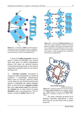 Fundamentos de Bioquímica – Capítulo 4: Aminoácidos e Proteínas                                                49




                                                             Figura 4-8 – A forma de β-folha pregueada ocorre
                                                             entre duas cadeias peptídicas dentro da molécula
                                                             protéica, resultante entre pontes de hidrogênio entre
Figura 4-7 - A forma de α-hélice é possível graças à         elas, resultando em um dobramento entre os amino-
formação de pontes de hidrogênio entre os grupamen-          ácidos sobre si formando um ângulo característico
tos funcionais dos aminoácidos da ligação peptídica e        que lembra as folhas pregueadas dos formulários
ao posicionamento contrário dos grupamentos R.               contínuos para computadores.



    A forma de β-folha pregueada é possível
graças a pontes de hidrogênio que ocorrem
entre duas partes da cadeias polipeptídicas
(Figura 4-8) dentro da molécula protéica.
Uma proteína pode apresentar os dois tipos de
organização secundária dentro de sua molécu-
la (Figura 4-9).

3)      Estrutura terciária: corresponde às
relações da cadeia polipeptídica no sentido de
estabilizar a conformação tridimensional.
Muitos tipos de interações químicas podem
ocorrer dentro de uma molécula protéica para
garantir a estabilidade das cadeias polipeptí-
dicas. As mais fortes são as ligações covalen-
tes, como a que ocorre entre dois aminoáci-
dos cisteína que se unem através de pontes                 Figura 4-9 – Estrutura molecular da enzima da glicó-
                                                           lise triose fosfato isomerase que apresenta regiões
dissulfetos entre seus grupamentos –SH for-                em α-hélice (espirais em azul) e em β-folha pregue-
mando o complexo cistina (Figura 4-10).                    ada (setas vermelhas) (Adaptado de Devlin, T.M.,
                                                           1999).
                                                                  Há, ainda a formação de pontes de hi-
                                                           drogênio, interações eletrostáticas e intera-
                                                           ções fracas de van der Waals entre os grupa-
                                                           mentos R

                                                                                                   Ricardo Vieira
 