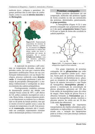 Fundamentos de Bioquímica – Capítulo 4: Aminoácidos e Proteínas                                           51

molécula (p.ex.: colágeno e queratina). Al-                        Proteínas conjugadas
gumas proteínas têm os dois tipos de confor-                      Muitas proteínas apresentam em sua
mação, como é o caso da miosina muscular e                 composição, moléculas não protéicas ligadas
do fibrinogênio.                                           de forma covalente ou não aos aminoácidos
                                                           das proteínas, denominados, genericamente,
A                     B                                    de grupo prostético.
                                                                  A hemoglobina (Figura 4-12) é uma
                                                           proteína conjugada cujo grupamento prostéti-
                                                           co é são quatro grupamentos hemes (Figura
                                                           4-14) que se ligam de forma não covalente às
                                                           cadeias peptídicas.



                        Figura 4-13 - Representação
                        esquemática da estrutura de
                        proteínas fibrosas e globula-
                        res. A) estrutura do colágeno
                        evidenciando as cadeias pep-
                        tídicas unidas em feixes e
                        estabilizadas por pontes de
                        hidrogênio. B) a enzima
                       fosfoglicerato mutase e seus
                        dois domínios globulares.
                        (Adaptado de Devlin, T.M.,
                        1999)
                                                             Figura 4-14 - O grupamento heme e seu anel
        A exposição de proteínas a pH extre-                 tetrapirrólico ligado ao ferro reduzido.
mos ou temperaturas elevadas, mesmo por                            Um grupo importante de proteínas
períodos curtos, faz com que a maioria delas               conjugadas são as glicoproteínas que estão
apresentem modificações físicas em sua con-                presentes na superfície celular (p.ex.: muci-
formação tridimensional e em sua função fisi-              na), fazem parte de proteínas estruturais (p.
ológica, processo conhecido como desnatu-                  ex.: o colágeno), são hormônios (p.ex.: gluca-
ração. A visualização geralmente é pela for-               gon) ou receptores de membrana. A glicose
mação de precipitado esbranquiçado e a mu-                 liga-se de maneira irreversível a uma fração
dança tridimensional é configurada no dese-                da hemoglobina (hemoglobina glicada) e
novelamento das cadeias polipeptídicas.                    permite a monitoração da concentração de
        Fisiologicamente, condições extremas               glicose plasmática (glicemia) até 120 dias
de desnaturação protéica são obtidas com                   (vida média da hemoglobina) antes da coleta
variação brusca acima de 50oC e pH abaixo                  de sangue. Outra fração de glicose fixa-se à
de 5,0, ambas condições incompatíveis com a                albumina formando as frutosaminas que, à
vida. Desta forma, o desenovelamento protéi-               maneira da hemoglobina glicada, monitora a
co em hipertermia ou acidoses leva a diminu-               glicemia anterior da coleta em até 30 dias
ição ou até perda da função protéica, mas que              (vida média das albuminas).
se mostra reversível quando cessa a causa da                       As lipoproteínas são importantes
variação de temperatura e/ou pH. Este proces-              transportadoras dos lipídios plasmáticos, prin-
so de renaturação, entretanto não é visuali-               cipalmente os triglicerídeos e o colesterol. De
zado em condições experimentais extremas                   acordo com a variação das lipoproteínas
onde a desnaturação protéica é irreversível.               pode-se avaliar o risco para doenças cardíacas
                                                           coronarianas.



                                                                                             Ricardo Vieira
 