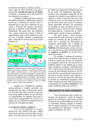 Fundamentos de Bioquímica – Capítulo 5: Enzimas                                                             59
  com a água do meio reacional. Esta ação é                      por retirar um composto (o substrato) que po-
  denominada retirada da capa de solvatação                      de ter outras vias metabólicas importante e
  e diminui a resistência física das moléculas                   produzir uma quantidade exagerada de um
  dos substratos em reagirem.                                    composto (os produtos) que podem ser inde-
          Também é fundamental para a eficácia                   sejáveis à célula. Logo, não basta que uma
  da reação enzimática, a modificação tridimen-                  enzima deixe de ser sintetizada para que ela
  sional que a molécula da enzima sofre no                       pare de fazer efeito, uma vez que é continua-
  momento que se liga com o substrato, favore-                   mente regenerada. Portanto, um mecanismo
  cendo a formação das ligações necessárias                      de regulação da ação enzimática torna-se in-
  para que os produtos sejam liberados, com o                    dispensável para o sucesso da ação catalítica.
  alinhamento das partes afins das moléculas                     Em outras palavras, a enzima tem se “saber”
  com o gasto mínimo de energia. A falta de                      quando parar e quando começar a trabalhar.
  especificidade entre o sítio catalítico da enzi-                       Isto ocorre graças a vários mecanis-
  ma com o produto formado é fundamental                         mos de controle onde o principal é uma dimi-
  para a liberação da enzima para nova reação                    nuição (ou aumento) de sua atividade de a-
  (Figura 5-4).                                                  cordo com o aumento (ou diminuição) de
                                                                 compostos relacionados com o produto da
                                                                 reação, o que estabelece um mecanismo de
                                                                 feedback (retroalimentação, ou seja, informa-
                                                                 ção a algo de trás por algo da frente) que pode
                                                                 ser negativo ou positivo, de acordo com a
                                                                 natureza da reação.
                                                                         Por exemplo, o aumento da concentra-
                                                                 ção de ATP celular favorece a inibição da ati-
                                                                 vidade da maioria das enzimas do metabolis-
                                                                 mo energético através de um mecanismo de
                                                                 feedback negativo o que impede que as molé-
                                                                 culas energéticas produzam indefinidamente
Figura 5-4 – Representação da complementaridade espacial e
                                                                 ATP o que levaria à destruição da célula pelo
química entre enzima e substrato. A) regiões do substrato pos-
suem regiões complementares no sítio catalítico da enzima        excesso de calor liberado no processo. No en-
(aqui representado uma ponte de hidrogênio, atração iônica e     tanto, não há a necessidade do longo processo
interações fracas apolares); B) o complexo enzima-substrato se   de síntese de mais enzimas para reiniciar o
forma com a retirada da capa de solvatação, o que diminui a      processo em virtude de a queda de ATP ativar
resistência da molécula; C) o produto formado não tem especi-
                                                                 as enzimas do metabolismo energético indu-
ficidade com a enzima; D) as regiões que antes se atraiam,
agora se repelem, regenerando a enzima.                          zindo a produção de mais ATP (esse processo
                                                                 é denominado de regulação alostérica e será
          Quando há a formação do complexo                       melhor detalhado ainda neste capítulo).
  enzima-substrato o cenário molecular está
  armado para que haja a formação dos produ-                      Mecanismos de ação enzimática
  tos. Note que estes fatos ocorrem de uma ma-
  neira muito rápida e dentro no sítio catalítico                        Vários mecanismos para a reação en-
  e a especificidade das ligações fracas que o-                  zimática são propostos a partir da natureza
  correm entre os grupamentos da enzima (e co-                   química dos substratos e cada reação enzimá-
  fator) com o(s) substrato(s) proporcionam um                   tica possui uma peculiaridade que a torna úni-
  aumento da velocidade da reação.                               ca. Entretanto, podemos agrupar os mecanis-
                                                                 mos de reação enzimática em três mecanis-
  e) A ação das enzimas é regulável:                             mos principais que abrangem a maioria das
         Uma vez são produzidas, as enzimas                      reações enzimáticas. São eles:
  iniciam sua ação catalítica até que a última
  molécula de substrato seja convertida em pro-
  dutos. Esta fato pode ser fatal para a célula

                                                                                                   Ricardo Vieira
 