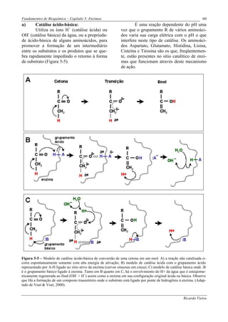 Fundamentos de Bioquímica – Capítulo 5: Enzimas                                                                   60
a)     Catálise ácido-básica:                                          É uma reação dependente do pH uma
       Utiliza os íons H+ (catálise ácida) ou                  vez que o grupamento R de vários aminoáci-
    -
OH (catálise básica) da água, ou a proprieda-                  dos varia sua carga elétrica com o pH o que
de ácido-básica de alguns aminoácidos, para                    interfere neste tipo de catálise. Os aminoáci-
promover a formação de um intermediário                        dos Aspartato, Glutamato, Histidina, Lisina,
entre os substratos e os produtos que se que-                  Cisteína e Tirosina são os que, freqüentemen-
bra rapidamente impedindo o retorno à forma                    te, estão presentes no sítio catalítico de enzi-
de substrato (Figura 5-5).                                     mas que funcionam através deste mecanismo
                                                               de ação.




Figura 5-5 – Modelo de catálise ácido-básica de conversão de uma cetona em um enol. A) a reação não catalisada o-
corre espontaneamente somente com alta energia de ativação; B) modelo de catálise ácida com o grupamento ácido
representado por A-H ligado ao sítio ativo da enzima (curvas sinuosas em cinza); C) modelo de catálise básica onde :B
é o grupamento básico ligado à enzima. Tanto em B quanto em C, há o envolvimento do H+ da água que é esteqiome-
tricamente regenerada ao final (OH- + H+) assim como a enzima em sua configuração original ácida ou básica. Observe
que Há a formação de um composto traasnitório onde o substrato está ligado por ponte de hidrogênio à enzima. (Adap-
tado de Voet & Voet, 2000).


                                                                                                      Ricardo Vieira
 