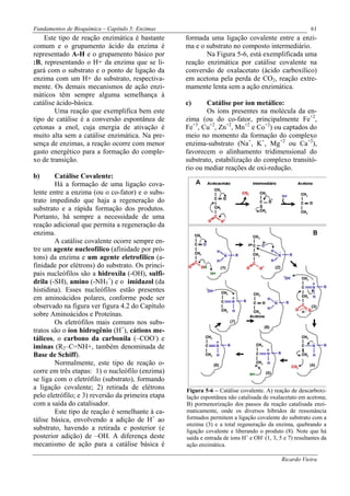 Fundamentos de Bioquímica – Capítulo 5: Enzimas                                                          61
    Este tipo de reação enzimática é bastante      formada uma ligação covalente entre a enzi-
comum e o grupamento ácido da enzima é             ma e o substrato no composto intermediário.
representado A-H e o grupamento básico por                Na Figura 5-6, está exemplificada uma
:B, representando o H+ da enzima que se li-        reação enzimática por catálise covalente na
gará com o substrato e o ponto de ligação da       conversão de oxalacetato (ácido carboxílico)
enzima com um H+ do substrato, respectiva-         em acetona pela perda de CO2, reação extre-
mente. Os demais mecanismos de ação enzi-          mamente lenta sem a ação enzimática.
máticos têm sempre alguma semelhança à
catálise ácido-básica.                             c)      Catálise por íon metálico:
        Uma reação que exemplifica bem este                Os íons presentes na molécula da en-
tipo de catálise é a conversão espontânea de       zima (ou do co-fator, principalmente Fe+2,
cetonas a enol, cuja energia de ativação é         Fe+3, Cu+2, Zn+2, Mn+2 e Co+2) ou captados do
muito alta sem a catálise enzimática. Na pre-      meio no momento da formação do complexo
sença de enzimas, a reação ocorre com menor        enzima-substrato (Na+, K+, Mg+2 ou Ca+2),
gasto energético para a formação do comple-        favorecem o alinhamento tridimensional do
xo de transição.                                   substrato, estabilização do complexo transitó-
                                                   rio ou mediar reações de oxi-redução.
b)      Catálise Covalente:
        Há a formação de uma ligação cova-
lente entre a enzima (ou o co-fator) e o subs-
trato impedindo que haja a regeneração do
substrato e a rápida formação dos produtos.
Portanto, há sempre a necessidade de uma
reação adicional que permita a regeneração da
enzima.
        A catálise covalente ocorre sempre en-
tre um agente nucleofílico (afinidade por pró-
tons) da enzima e um agente eletrofílico (a-
finidade por elétrons) do substrato. Os princi-
pais nucleófilos são a hidroxila (-OH), sulfi-
drila (-SH), amino (-NH3+) e o imidazol (da
histidina). Esses nucleófilos estão presentes
em aminoácidos polares, conforme pode ser
observado na figura ver figura 4.2 do Capítulo
sobre Aminoácidos e Proteínas.
        Os eletrófilos mais comuns nos subs-
tratos são o íon hidrogênio (H+), cátions me-
tálicos, o carbono da carbonila (–COO-) e
iminas (R2–C=NH+, também denominada de
Base de Schiff).
        Normalmente, este tipo de reação o-
corre em três etapas: 1) o nucleófilo (enzima)
se liga com o eletrófilo (substrato), formando
a ligação covalente; 2) retirada de elétrons       Figura 5-6 – Catálise covalente. A) reação de descarboxi-
pelo eletrófilo; e 3) reversão da primeira etapa   lação espontânea não catalisada de oxalacetato em acetona;
com a saída do catalisador.                        B) pormenorização dos passos da reação catalisada enzi-
        Este tipo de reação é semelhante à ca-     maticamente, onde os diversos híbridos de ressonância
tálise básica, envolvendo a adição de H+ ao        formados permitem a ligação covalente do substrato com a
                                                   enzima (3) e a total regeneração da enzima, quebrando a
substrato, havendo a retirada e posterior (e       ligação covalente e liberando o produto (8). Note que há
posterior adição) de –OH. A diferença deste        saída e entrada de íons H+ e OH- (1, 3, 5 e 7) resultantes da
mecanismo de ação para a catálise básica é         ação enzimática.

                                                                                            Ricardo Vieira
 