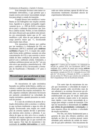 Fundamentos de Bioquímica – Capítulo 5: Enzimas                                                        62
         Esta interação favorece uma maior es-      cado em várias enzimas, apesar de não ter seu
tabilidade eletrostática, o que permite que a       mecanismo totalmente elucidado através de
reação ocorra com menor necessidade energé-         experimentos laboratoriais.
tica para atingir o estado de transição.
         O papel desses íons metálicos é seme-
lhante ao íon hidrogênio nas reações enzimá-
ticas, ligando-se a grupos carregados negati-
vamente (p.ex.: a –OH da H2O) e transferin-
do-os para o substrato (mecanismo que lem-
bra a catálise ácida). Porém, os íons metálicos
são mais eficazes por que podem estar presen-
tes em concentração maior que os H+ sem
modificar o pH, além do que podem possuir
carga positiva maior que +1, favorecendo
uma reação mais eficaz.
         Um mecanismo clássico por catálise
por íon metálico é a hidratação de CO2 em
bicarbonato (HCO3-) mediada pela anidrase
carbônica (Figura 5-7). A reação não catali-
sada forma ácido carbônico somente em altas
concentrações de CO2 o que acarreta a neces-
sidade de altas condições de pressão, incom-
patível com o ambiente celular. Entretanto, a
anidrase carbônica possui um íon Zn+2 em seu
sítio ativo que permite a transferência de –OH     Figura 5-7 – Catálise por íon metálico. A) a hidratação de
para o substrato (CO2) favorecendo a forma-        dióxido de carbono (CO2 )em bicarbonato (HCO3-) não
ção do bicarbonato e liberando o H+ para o         catalisada; B) a catálise da reação pela enzima anidrase
                                                   carbônica. O Zn+2 no sítio ativo (1) absorve -OH da água o
meio.
                                                   que permite a atração do CO2 (2). A absorção de nova -OH
                                                   pelo Zn+2 (4) favorece a liberação do HCO3- e a regenera-
Mecanismos que aceleram a rea-                     ção da enzima (5). Observe que somente uma molécula de
                                                   H2O é degradada por mol de bicarbonato formado.
       ção enzimática
        Os mecanismos de ação enzimática                    Um outro tipo de mecanismo de rea-
baseados na catálise ácido-básica, catálise co-     ção que incrementa a velocidade da reação é
valente e catálise por íons metálicos explanam      observado quando estão envolvidos mais de
a grande maioria das reações enzimáticas. Po-       um substrato e as enzimas favorecem um ali-
rém, algumas condições adicionais favorecem         nhamento tridimensional entre as moléculas
um aumento considerável na velocidade da            estabelecendo um grau de torção ideal para
reação enzimática, quando presentes na molé-        que os substratos reajam entre si de maneira
cula de enzima.                                     mais rápida e com menor necessidade de e-
        É o caso da existência de pontos de a-      nergia para atingir o estado de transição. Este
tração eletrostática entre a enzima e o substra-    tipo de mecanismo é denominado de catálise
to que excluem totalmente a água no sítio de        por efeitos de proximidade e orientação e é
ligação favorecendo uma reação em condi-            uma maneira eficaz de acelerar a velocidade
ções de extrema rapidez devido à aproxima-          da reação enzimática.
ção máxima entre enzima e substrato. A au-                  Por fim, um efeito fundamental para a
sência de água no sítio ativo leva a reação à       garantia de uma alta eficácia catalítica está
condição de reação orgânicas em meio apolar         atrelado ao fato de a enzima possuir maior
que são mais rápidas que as que ocorrem em          afinidade pela molécula do estado de transi-
meio aquoso. Este tipo de mecanismo é de-           ção do que pelo substrato. Este mecanismo de
nominado de catálise eletrostática e é verifi-
                                                                                           Ricardo Vieira
 