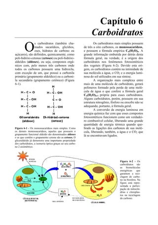 Capítulo 6
                                                                 Carboidratos
        O
               s carboidratos (também cha-                         Os carboidratos mais simples possuem
               mados sacarídeos, glicídios,                de três a oito carbonos, os monossacarídeos,
               oses, hidratos de carbono ou                e possuem a fórmula empírica Cn(H2O)n. A
açúcares), são definidos, quimicamente, como               grande informação embutida por detrás desta
poli-hidróxi-cetonas (cetoses) ou poli-hidróxi-            fórmula geral, na verdade, é a origem dos
aldeídos (aldoses), ou seja, compostos orgâ-               carboidratos nos fenômenos fotossintéticos
nicos com, pelo menos três carbonos onde                   dos vegetais (Figura 6-2). Devido esta ori-
todos os carbonos possuem uma hidroxila,                   gem, os carboidratos contém na intimidade de
com exceção de um, que possui a carbonila                  sua molécula a água, o CO2 e a energia lumi-
primária (grupamento aldeídico) ou a carboni-              nosa do sol utilizados em sua síntese.
la secundária (grupamento cetônico) (Figura                        A organização mais complexa entre
6-1).                                                      mais de uma molécula de carboidrato, gerará
                                                           polímeros formado pela perda de uma molé-
                                                           cula de água o que confere a fórmula geral
                                                           Cn(H2O)n-1 própria para esses carboidratos.
                                                           Alguns carboidratos, porém, possuem em sua
                                                           estrutura nitrogênio, fósforo ou enxofre não se
                                                           adequando, portanto, à fórmula geral.
                                                                   A conversão da energia luminosa em
                                                           energia química faz com que esses compostos
                                                           fotossintéticos funcionem como um verdadei-
                                                           ro combustível celular, liberando uma grande
                                                           quantidade de energia térmica quando que-
Figura 6-1 - Os monossacarídeos mais simples. Como         brado as ligações dos carbonos de sua molé-
os demais monossacarídeos, aqueles que possuem o           cula, liberando, também, a água e o CO2 que
grupamento funcional aldeído são denominados aldoses       lá se encontravam ligados.
e os que contêm o grupamento cetona são as cetoses. O
gliceraldeído já demonstra uma importante propriedade
dos carboidratos, a isomeria óptica graças ao seu carbo-
no 2 assimétrico.




                                                                                       Figura 6-2 - Os
                                                                                       carboidratos são
                                                                                       as biomoléculas
                                                                                       energéticas    que
                                                                                       garantem a reci-
                                                                                       clagem do carbo-
                                                                                       no na biosfera. Na
                                                                                       figura está repre-
                                                                                       sentada a partici-
                                                                                       pação de mitocôn-
                                                                                       drias e cloroplas-
                                                                                       tos na reciclagem
                                                                                       do carbono.
 