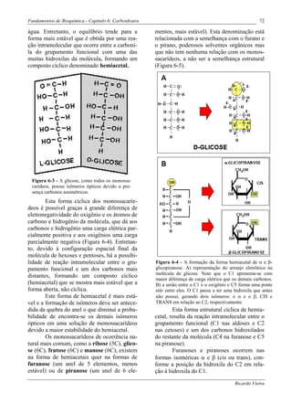 Fundamentos de Bioquímica - Capítulo 6: Carboidratos                                                     72

água. Entretanto, o equilíbrio tende para a            mentos, mais estável). Esta denominação está
forma mais estável que é obtida por uma rea-           relacionada com a semelhança com o furano e
ção intramolecular que ocorre entre a carboni-         o pirano, poderosos solventes orgânicos mas
la do grupamento funcional com uma das                 que não tem nenhuma relação com os monos-
muitas hidroxilas da molécula, formando um             sacarídeos, a não ser a semelhança estrutural
composto cíclico denominado hemiacetal.                (Figura 6-5).




 Figura 6-3 - A glicose, como todos os monossa-
 carídeos, possui isômeros ópticos devido a pre-
 sença carbonos assimétricos.
        Esta forma cíclica dos monossacaríe-
deos é possível graças à grande diferença de
eletronegatividade do oxigênio e os átomos de
carbono e hidrogênio da molécula, que dá aos
carbonos e hidrogênio uma carga elétrica par-
cialmente positiva e aos oxigênios uma carga
parcialmente negativa (Figura 6-4). Entretan-
to, devido à configuração espacial final da
molécula de hexoses e pentoses, há a possibi-
lidade de reação intramolecular entre o gru-           Figura 6-4 - A formação da forma hemiacetal de α e β-
pamento funcional e um dos carbonos mais               glicopiranose. A) representação do arranjo eletrônico na
                                                       molécula de glicose. Note que o C1 apresenta-se com
distantes, formando um composto cíclico
                                                       maior diferença de carga elétrica que os demais carbonos.
(hemiacetal) que se mostra mais estável que a          B) a união entre o C1 e o oxigênio e C5 forma uma ponte
forma aberta, não cíclica.                             etér entre eles. O C1 passa a ter uma hidroxila que antes
        Este forma de hemiacetal é mais está-          não possui, gerando dois isômeros: o α e o β, CIS e
vel e a formação de isômeros deve ser antece-          TRANS em relação ao C2, respectivamente.
dida da quebra do anel o que diminui a proba-                  Esta forma estrutural cíclica de hemia-
bilidade de encontra-se os demais isômeros             cetal, resulta da reação intramolecular entre o
ópticos em uma solução de monossacarídeos              grupamento funcional (C1 nas aldoses e C2
devido a maior estabilidade do hemiacetal.             nas cetoses) e um dos carbonos hidroxilados
        Os monossacarídeos de ocorrência na-           do restante da molécula (C4 na furanose e C5
tural mais comum, como a ribose (5C), glico-           na piranose).
se (6C), frutose (6C) e manose (6C), existem                   Furanoses e piranoses ocorrem nas
na forma de hemiacetais quer na formas de              formas isoméricas α e β (cis ou trans), con-
furanose (um anel de 5 elementos, menos                forme a posição da hidroxila do C2 em rela-
estável) ou de piranose (um anel de 6 ele-             ção à hidroxila do C1.

                                                                                             Ricardo Vieira
 