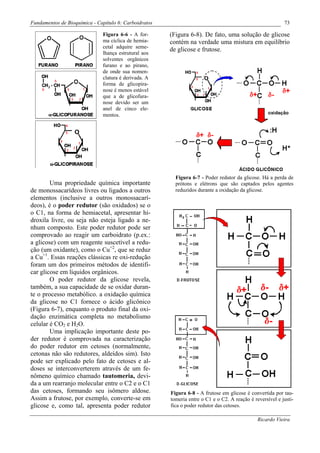 Fundamentos de Bioquímica - Capítulo 6: Carboidratos                                                       73

                              Figura 6-6 - A for-      (Figura 6-8). De fato, uma solução de glicose
                              ma cíclica de hemia-     contém na verdade uma mistura em equilíbrio
                              cetal adquire seme-
                                                       de glicose e frutose.
                              lhança estrutural aos
                              solventes orgânicos
                              furano e ao pirano,
                              de onde sua nomen-
                              clatura é derivada. A
                              forma de glicopira-
                              nose é menos estável
                              que a de glicofura-
                              nose devido ser um
                              anel de cinco ele-
                              mentos.




                                                         Figura 6-7 - Poder redutor da glicose. Há a perda de
        Uma propriedade química importante               prótons e elétrons que são captados pelos agentes
de monossacarídeos livres ou ligados a outros            reduzidos durante a oxidação da glicose.
elementos (inclusive a outros monossacarí-
deos), é o poder redutor (são oxidados) se o
o C1, na forma de hemiacetal, apresentar hi-
droxila livre, ou seja não esteja ligado a ne-
nhum composto. Este poder redutor pode ser
comprovado ao reagir um carboidrato (p.ex.:
a glicose) com um reagente suscetível a redu-
ção (um oxidante), como o Cu+2, que se reduz
a Cu+1. Essas reações clássicas re oxi-redução
foram um dos primeiros métodos de identifi-
car glicose em líquidos orgânicos.
        O poder redutor da glicose revela,
também, a sua capacidade de se oxidar duran-
te o processo metabólico. a oxidação química
da glicose no C1 fornece o ácido glicônico
(Figura 6-7), enquanto o produto final da oxi-
dação enzimática completa no metabolismo
celular é CO2 e H2O.
        Uma implicação importante deste po-
der redutor é comprovada na caracterização
do poder redutor em cetoses (normalmente,
cetonas não são redutores, aldeídos sim). Isto
pode ser explicado pelo fato de cetoses e al-
doses se interconverterem através de um fe-
nômeno químico chamado tautomeria, devi-
da a um rearranjo molecular entre o C2 e o C1
das cetoses, formando seu isômero aldose.              Figura 6-8 - A frutose em glicose é convertida por tau-
Assim a frutose, por exemplo, converte-se em           tomeria entre o C1 e o C2. A reação é reversível e justi-
glicose e, como tal, apresenta poder redutor           fica o poder redutor das cetoses.

                                                                                               Ricardo Vieira
 