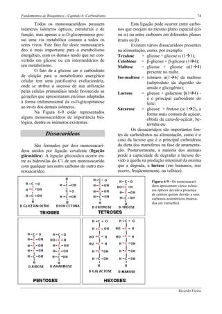 Fundamentos de Bioquímica - Capítulo 6: Carboidratos                                                   74

        Todos os monossacarídeos possuem                       Esta ligação pode ocorrer entre carbo-
inúmeros isômeros ópticos, estruturais e de            nos que estejam no mesmo plano espacial (cis
função, mas apenas a α-D-glicopiranose pos-            ou α) ou entre carbonos em diferentes planos
sui uma via metabólica comum a todos os                (trans ou β).
seres vivos. Este fato faz deste monossacarí-                  Existem vários dissacarídeos presentes
deo o mais importante para o metabolismo               na alimentação, como, por exemplo:
energético, com os demais tendo que ser con-           Trealose      = glicose + glicose α (1 1);
vertido em glicose ou em intermediários de             Celobiose = β-glicose + β-glicose (1 4);
seu metabolismo.                                       Maltose       = glicose + glicose α(1 4)
        O fato de a glicose ser o carboidrato                           presente no malte.
de eleição para o metabolismo energético               Iso-maltose = isômero α(1 6) da maltose
celular tem uma justificativa evolucionária,                            (subproduto da digestão do
onde se atribui o sucesso de sua utilização                             amido e glicogênio);
pelas células primordiais tendo favorecido as          Lactose       = glicose + galactose β(1 4) -
gerações que apresentaram enzimas adaptadas                             é o principal carboidrato do
à forma tridimensional da α-D-glicopiranose                             leite;
ao invés dos demais isômeros.                          Sacarose      = glicose + frutose (α 1 2), a
        Na Figura 6-9 estão representados                               forma mais comum de açúcar,
alguns monossacarídeos de importância bio-                              obtida da cana-de-açúcar, be-
lógica, dentre os inúmeros existentes.                                  terraba etc.
                                                               Os dissacarídeos são importantes fon-
               Dissacarídeos                           tes de carboidratos na alimentação, como é o
                                                       caso da lactose que é o principal carboidrato
        São formados por dois monossacarí-             da dieta dos mamíferos na fase de amamenta-
deos unidos por ligação covalente (ligação             ção. Posteriormente, a maioria dos animais
glicosídica). A ligação glicosídica ocorre en-         perde a capacidade de degradar a lactose de-
tre as hidroxilas do C1 de um monossacarído            vido à queda na produção intestinal da enzima
com qualquer um outro carbono do outro mo-             que a degrada, a lactase (em humanos, isto
nossacarídeo.                                          ocorre, freqüentemente, na velhice).

                                                                         Figura 6-9 - Os monossacarí-
                                                                         deos apresentam vários isôme-
                                                                         ros ópticos devido a presença
                                                                         de centros quirais devido a seus
                                                                         carbonos assimétricos (marca-
                                                                         dos em vermelho).




                                                                                          Ricardo Vieira
 
