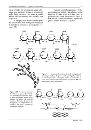 Fundamentos de Bioquímica - Capítulo 6: Carboidratos                                                            76

nico), formados por unidades de açúcar alter-                     É grande a semelhança entre a estrutu-
nadas, uma das quais contém o grupamento                   ra molecular da quitina e da celulose, ambas
ácido. Estas estruturas, nas quais a porção                isômeros β(1 4), o que as coloca como os
polissacarídica predomina, são chamadas pro-               polissacarídeos mais resistentes da Terra e,
teoglicanas.                                               sem dúvida, os mais abundantes, haja vista o
        A carapaça dos insetos contém quiti-               grande número de insetos e vegetais.
na, um polímero de N-acetilglicosamina) que
dá resistência extrema ao exo-esqueleto (Fi-
gura 6-13).




                                                 Figura 6-11 - A molécula de amido na forma de amilopectina é
                                                 formada por unidades de glicose unidas por ligações α(1 4)
                                                 na estrutura principal e α(1 6) nos pontos de ramificação. A
                                                 forma linear (amilose) apresenta somente ligações α(1 4) e é
                                                 menos solúvel que a amilopectina.




 Figura 6-12 - A estrutura molecular
 da celulose. As ligações β(1 4) não
 são quebradas pelas enzimas diges-
 tivas dos animais e a disposição das
 unidades de glicose na molécula
 permite a formação de pontes de
 hidrogênio e o empilhamento de
 cadeias, o que torna a celulose ex-
 tremamente resistente.




                                                                                                 Ricardo Vieira
 