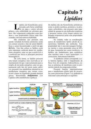 Capítulo 7
                                                                                Lipídios
         L
               ipídios são biomoléculas carac-                 Os lipídios não são biomoléculas poliméricas
               terizadas pela baixa solubilida-                como os ácidos nucléicos, proteínas e os prin-
               de em água e outros solvente                    cipais carboidratos, mas possuem uma capa-
polares e alta solubilidade em solventes apo-                  cidade de agrupar-se em moléculas complexas
lares. São vulgarmente conhecidos como gor-                    e possuem, muitas vezes, longas cadeias car-
duras e suas propriedades físicas estão rela-                  bonadas responsáveis pelas suas propriedades
cionadas com esta natureza hidrófoba.                          hidrofóbicas.
        São moléculas que possuem uma                                  Na verdade, todas as considerações
grande variedade de formas estruturais, tendo                  acerca do metabolismo lipídio advêm da ca-
em comum somente o fato de serem hidrofó-                      racterística hidrófoba das moléculas. Esta
bicas e serem biosintetizadas a partir da ace-                 propriedade não é uma desvantagem biológi-
til-CoA. Este fato coloca os lipídios como                     ca, mesmo o corpo possuindo cerca de 60%
uma importante molécula dentro do metabo-                      de água. Justamente por serem insolúveis, os
lismo energético, uma vez que a acetil-CoA é                   lipídios são fundamentais para estabelecer
a molécula que inicia os principais processos                  uma interface entre o meio intracelular e o
bioenergéticos.                                                extracelular, francamente hidrófilos.
        De certa forma, os lipídios possuem                            A membrana celular corresponde a es-
uma função energética mais reservada ao ar-                    ta barreira lipídica onde o impedimento de
mazenamento do que o aproveitamento puro e                     fluxo livre de compostos hidrossolúveis, co-
simples de seu poder energético, uma vez que,                  loca as proteínas de membrana como os por-
justamente pelo fato de serem muito calóri-                    tais de controle da composição celular.
cos, possuem vias metabólicas alternativas ao                          Possuem funções importantíssimas
metabolismo energético que, muitas vezes,                      para o metabolismo celular tanto de eucario-
levam a danos ao organismo gerando doenças                     tas como procariotas (Figura 7-1), podendo-se
graves, denominadas dislipidemias (ver                         relacionar como principais as seguintes:
Capítulo sobre metabolismo Lipídico).




Figura 7-1 – Os lipídios exercem as mais variadas e importantes funções no metabolismo dos seres vivos.
 