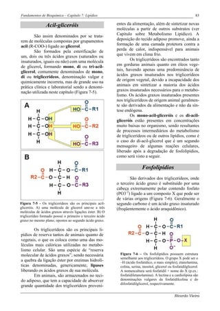 Fundamentos de Bioquímica – Capítulo 7: Lipídios                                                                    83

                 Acil-gliceróis                            entes da alimentação, além de sintetizar novas
                                                           moléculas a partir de outros substratos (ver
        São assim denominados por se trata-                Capítulo sobre Metabolismo Lipídico). A
rem de moléculas compostas por grupamentos                 deposição do tecido adiposo promove, ainda a
acil (R-COO-) ligado ao glicerol.                          formação de uma camada protetora contra a
        São formados pela esterificação de                 perda de calor, indispensável para animais
um, dois ou três ácidos graxos (saturados ou               que vivem em clima frio.
insaturados, iguais ou não) com uma molécula                       Os triglicerídeos são encontrados tanto
de glicerol, formando mono, di ou tri-acil-                em gorduras animais quanto em óleos vege-
glicerol, comumente denominados de mono,                   tais, havendo apenas uma predominância de
di ou triglicerídeos, denominação vulgar e                 ácidos graxos insaturados nos triglicerídeos
quimicamente incorreta, mas de grande uso na               de origem vegetal, devido a incapacidade dos
prática clínica e laboratorial sendo a denomi-             animais em sintetizar a maioria dos ácidos
nação utilizada neste capítulo (Figura 7-5).               graxos insaturados necessários para o metabo-
                                                           lismo. Os ácidos graxos insaturados presentes
                                                           nos triglicerídeos de origem animal geralmen-
                                                           te são derivados da alimentação e não da sín-
                                                           tese endógena.
                                                                   Os mono-acil-gliceróis e os di-acil-
                                                           gliceróis estão presentes em concentrações
                                                           muito baixas no organismo, sendo resultantes
                                                           de processos intermediários do metabolismo
                                                           de triglicerídeos ou de outros lipídios, como é
                                                           o caso do di-acil-glicerol que é um segundo
                                                           mensageiro de algumas reações celulares,
                                                           liberado após a degradação de fosfolipídios,
                                                           como será visto a seguir.

                                                                            Fosfolipídios
                                                                  São derivados dos triglicerídeos, onde
                                                           o terceiro ácido graxo é substituído por uma
                                                           cabeça extremamente polar contendo fosfato
                                                           (PO3-2) ligado a um composto X que pode ser
                                                           de várias origens (Figura 7-6). Geralmente o
Figura 7-5 - Os triglicerídeos são os principais acil-     segundo carbono é um ácido graxo insaturado
gliceróis. A) uma molécula de glicerol une-se a três       (freqüentemente o ácido araquidônico).
moléculas de ácidos graxos através ligações éster. B) O
triglicerídeo formado possui o primeiro e terceiro ácido
graxo no mesmo plano, opostos ao segundo ácido graxo.

       Os triglicerídeos são os principais li-
pídios de reserva tantos de animais quanto de
vegetais, o que os coloca como uma das mo-
léculas mais calóricas utilizadas no metabo-
lismo celular. São uma espécie de “reserva
molecular de ácidos graxos”, sendo necessária                Figura 7-6 – Os fosfolipídios possuem estrutura
                                                             semelhante aos triglicerídeos. O grupo X pode ser o
a quebra da ligação éster por enzimas hidrolí-               –H (ácido fosfatídico, o mais simples), etanolamina,
ticas denominadas, genericamente, lipases                    colina, serina, inositol, glicerol ou fosfatidilglicerol.
liberando os ácidos graxos de sua molécula.                  A nomencaltura será fosfatidil + nome do X (p.ex.:
       Em animais, são armazenados no teci-                  fosfatidiletanolamina). A lectina e a cardiolipina são
do adiposo, que tem a capacidade de absorver                 denominações vulgares da fosfatidilcolina e do
                                                             difosfatidilglicerol, respectivamente.
grande quantidade dos triglicerídeos proveni-

                                                                                                    Ricardo Vieira
 