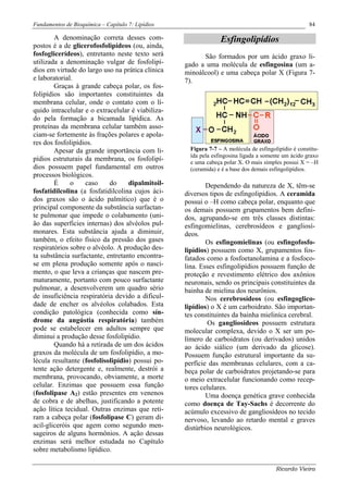 Fundamentos de Bioquímica – Capítulo 7: Lipídios                                                      84

        A denominação correta desses com-                        Esfingolipídios
postos é a de glicerofosfolipídeos (ou, ainda,
fosfoglicerídeos), entretanto neste texto será           São formados por um ácido graxo li-
utilizada a denominação vulgar de fosfolipí-       gado a uma molécula de esfingosina (um a-
dios em virtude do largo uso na prática clínica    minoálcool) e uma cabeça polar X (Figura 7-
e laboratorial.                                    7).
        Graças à grande cabeça polar, os fos-
folipídios são importantes constituintes da
membrana celular, onde o contato com o lí-
quido intracelular e o extracelular é viabiliza-
do pela formação a bicamada lipídica. As
proteínas da membrana celular também asso-
ciam-se fortemente às frações polares e apola-
res dos fosfolipídios.
        Apesar da grande importância com li-         Figura 7-7 – A molécula de esfingolipídio é constitu-
                                                     ída pela esfingosina ligada a somente um ácido graxo
pídios estruturais da membrana, os fosfolipí-        e uma cabeça polar X. O mais simples possui X = –H
dios possuem papel fundamental em outros             (ceramida) e é a base dos demais esfingolipídios.
processos biológicos.
        É     o    caso     do     dipalmitoil-            Dependendo da natureza de X, têm-se
fosfatidilcolina (a fosfatidilcolina cujos áci-    diversos tipos de esfingolipídios. A ceramida
dos graxos são o ácido palmítico) que é o          possui o –H como cabeça polar, enquanto que
principal componente da substância surfactan-      os demais possuem grupamentos bem defini-
te pulmonar que impede o colabamento (uni-         dos, agrupando-se em três classes distintas:
ão das superfícies internas) dos alvéolos pul-     esfingomielinas, cerebrosídeos e gangliosí-
monares. Esta substância ajuda a diminuir,         deos.
também, o efeito físico da pressão dos gases               Os esfingomielinas (ou esfingofosfo-
respiratórios sobre o alvéolo. A produção des-     lipídios) possuem como X, grupamentos fos-
ta substância surfactante, entretanto encontra-    fatados como a fosfoetanolamina e a fosfoco-
se em plena produção somente após o nasci-         lina. Esses esfingolipídios possuem função de
mento, o que leva a crianças que nascem pre-       proteção e revestimento elétrico dos axônios
maturamente, portanto com pouco surfactante        neuronais, sendo os principais constituintes da
pulmonar, a desenvolverem um quadro sério          bainha de mielina dos neurônios.
de insuficiência respiratória devido a dificul-            Nos cerebrosídeos (ou esfingoglico-
dade de encher os alvéolos colabados. Esta         lipídios) o X é um carboidrato. São importan-
condição patológica (conhecida como sín-           tes constituintes da bainha mieliníca cerebral.
drome da angústia respiratória) também                     Os gangliosídeos possuem estrutura
pode se estabelecer em adultos sempre que          molecular complexa, devido o X ser um po-
diminui a produção desse fosfolipídio.             límero de carboidratos (ou derivados) unidos
        Quando há a retirada de um dos ácidos      ao ácido siálico (um derivado da glicose).
graxos da molécula de um fosfolipídio, a mo-       Possuem função estrutural importante da su-
lécula resultante (fosfolisolipídio) possui po-    perfície das membranas celulares, com a ca-
tente ação detergente e, realmente, destrói a      beça polar de carboidratos projetando-se para
membrana, provocando, obviamente, a morte          o meio extracelular funcionando como recep-
celular. Enzimas que possuem essa função           tores celulares.
(fosfolipase A2) estão presentes em venenos                Uma doença genética grave conhecida
de cobra e de abelhas, justificando a potente      como doença de Tay-Sachs é decorrente do
ação lítica tecidual. Outras enzimas que reti-     acúmulo excessivo de gangliosídeos no tecido
ram a cabeça polar (fosfolipase C) geram di-       nervoso, levando ao retardo mental e graves
acil-gliceróis que agem como segundo men-          distúrbios neurológicos.
sageiros de alguns hormônios. A ação dessas
enzimas será melhor estudada no Capítulo
sobre metabolismo lipídico.

                                                                                        Ricardo Vieira
 