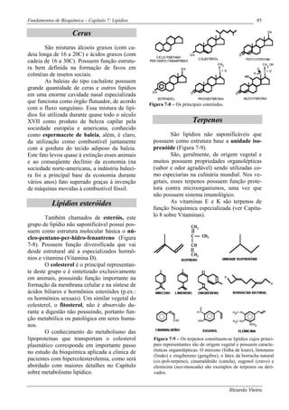 Fundamentos de Bioquímica – Capítulo 7: Lipídios                                                         85

                     Ceras
        São misturas álcoois graxos (com ca-
deia longa de 16 a 20C) e ácidos graxos (com
cadeia de 16 a 30C). Possuem função estrutu-
ra bem definida na formação de favos em
colméias de insetos sociais.
        As baleias do tipo cachalote possuem
grande quantidade de ceras e outros lipídios
em uma enorme cavidade nasal especializada
que funciona como órgão flutuador, de acordo       Figura 7-8 – Os principais esteróides.
com o fluxo sanguíneo. Essa mistura de lipí-
dios foi utilizada durante quase todo o século
XVII como produto de beleza capilar pela                                 Terpenos
sociedade européia e americana, conhecido
como espermacete de baleia, além, é claro,                   São lipídios não saponificáveis que
da utilização como combustível juntamente            possuem como estrutura base a unidade iso-
com a gordura do tecido adiposo da baleia.           prenóide (Figura 7-9).
Este fato levou quase à extinção esses animais               São, geralmente, de origem vegetal e
e ao conseqüente declínio da economia (na            muitos possuem propriedades organolépticas
sociedade norte-americana, a indústria baleei-       (sabor e odor agradável) sendo utilizadas co-
ra foi a principal base da economia durante          mo especiarias na culinária mundial. Nos ve-
vários anos) fato superado graças à invenção         getais, esses terpenos possuem função prote-
de máquinas movidas à combustível fóssil.            tora contra microorganismos, uma vez que
                                                     não possuem sistema imunológico.
           Lipídios esteróides                               As vitaminas E e K são terpenos de
                                                     função bioquímica especializada (ver Capitu-
        Também chamados de esteróis, este            lo 8 sobre Vitaminas).
grupo de lipídio não saponificável possui pos-
suem como estrutura molecular básica o nú-
cleo-pentano-per-hidro-fenantreno (Figura
7-8). Possuem função diversificada que vai
desde estrutural até a especializados hormô-
nios e vitamina (Vitamina D).
        O colesterol é o principal representan-
te deste grupo e é sintetizado exclusivamente
em animais, possuindo função importante na
formação da membrana celular e na síntese de
ácidos biliares e hormônios esteróides (p.ex.:
os hormônios sexuais). Um similar vegetal do
colesterol, o fitosterol, não é absorvido du-
rante a digestão não possuindo, portanto fun-
ção metabólica ou patológica em seres huma-
nos.
        O conhecimento do metabolismo das
lipoproteínas que transportam o colesterol           Figura 7-9 – Os terpenos constituem-se lipídios cujos princi-
plasmático corresponde em importante passo           pais representantes são de origem vegetal e possuem caracte-
no estudo da bioquímica aplicada a clinica de        rísticas organolépticas. O mirceno (folha de louro), limoneno
                                                     (limão) e zingibereno (gengibre), o látex da borracha natural
pacientes com hipercolesterolemia, como será         (sis-poli-terpeno), cinamaldeído (canela), eugenol (cravo) e
abordado com maiores detalhes no Capítulo            elemicina (noz-moscada) são exemplos de terpenos ou deri-
sobre metabolismo lipídico.                          vados.


                                                                                            Ricardo Vieira
 