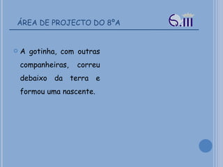 ÁREA DE PROJECTO DO 8ºA A gotinha, com outras companheiras, correu debaixo da terra e formou uma nascente. 
