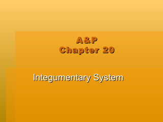 A&P Chapter 20 Integumentary System 
